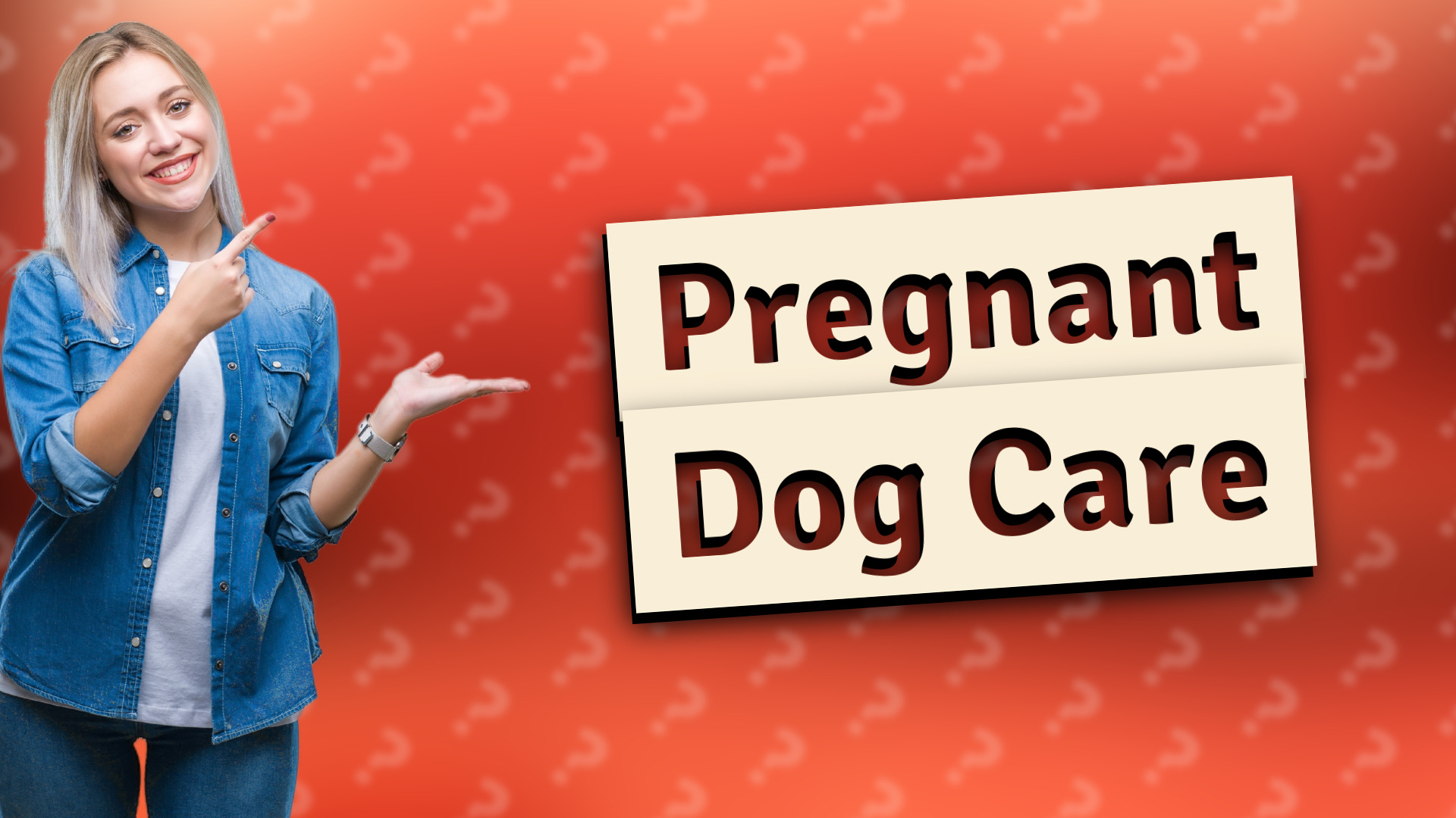 Pregnant Dog Care