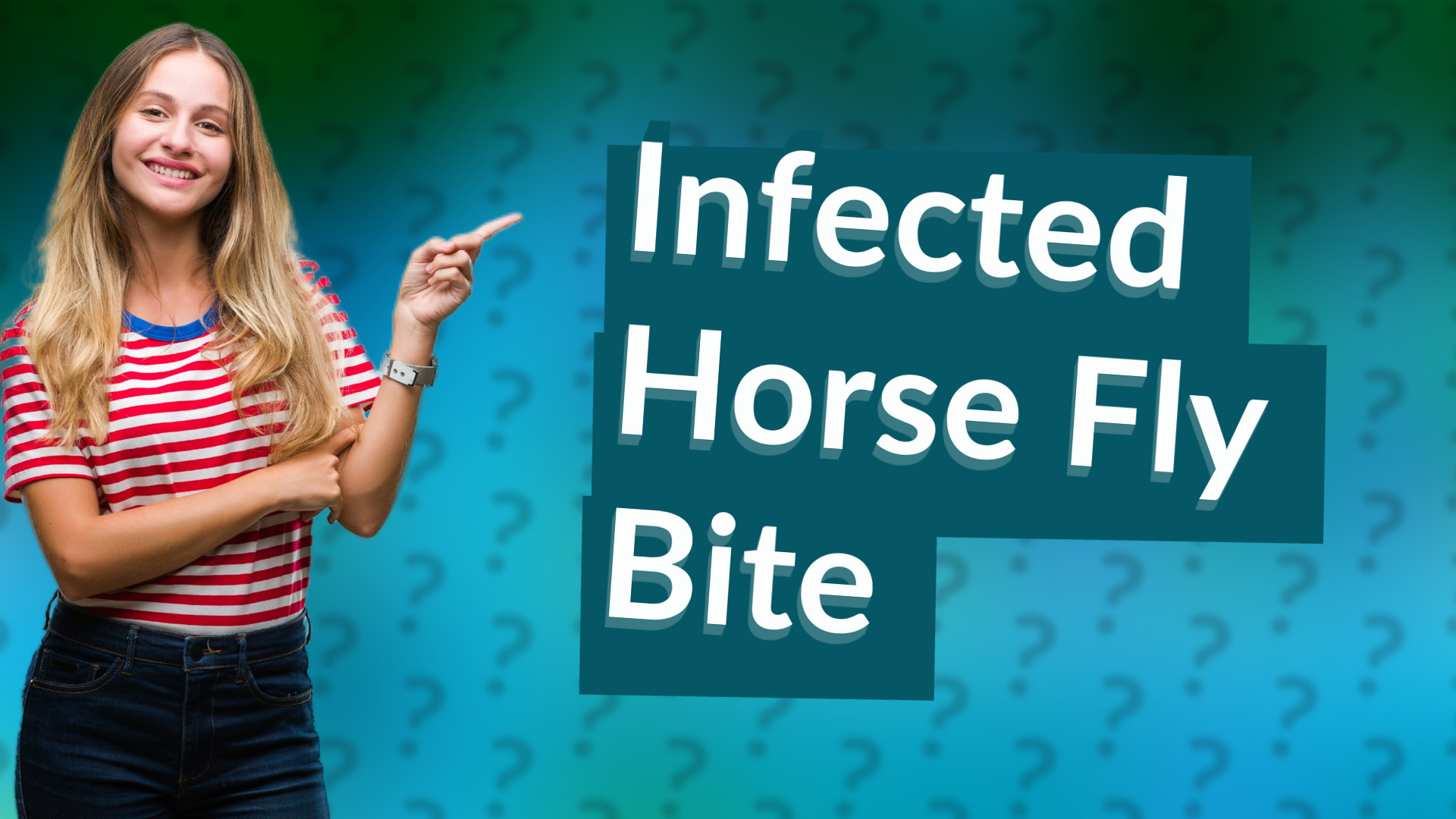 Infected Horse Fly Bite