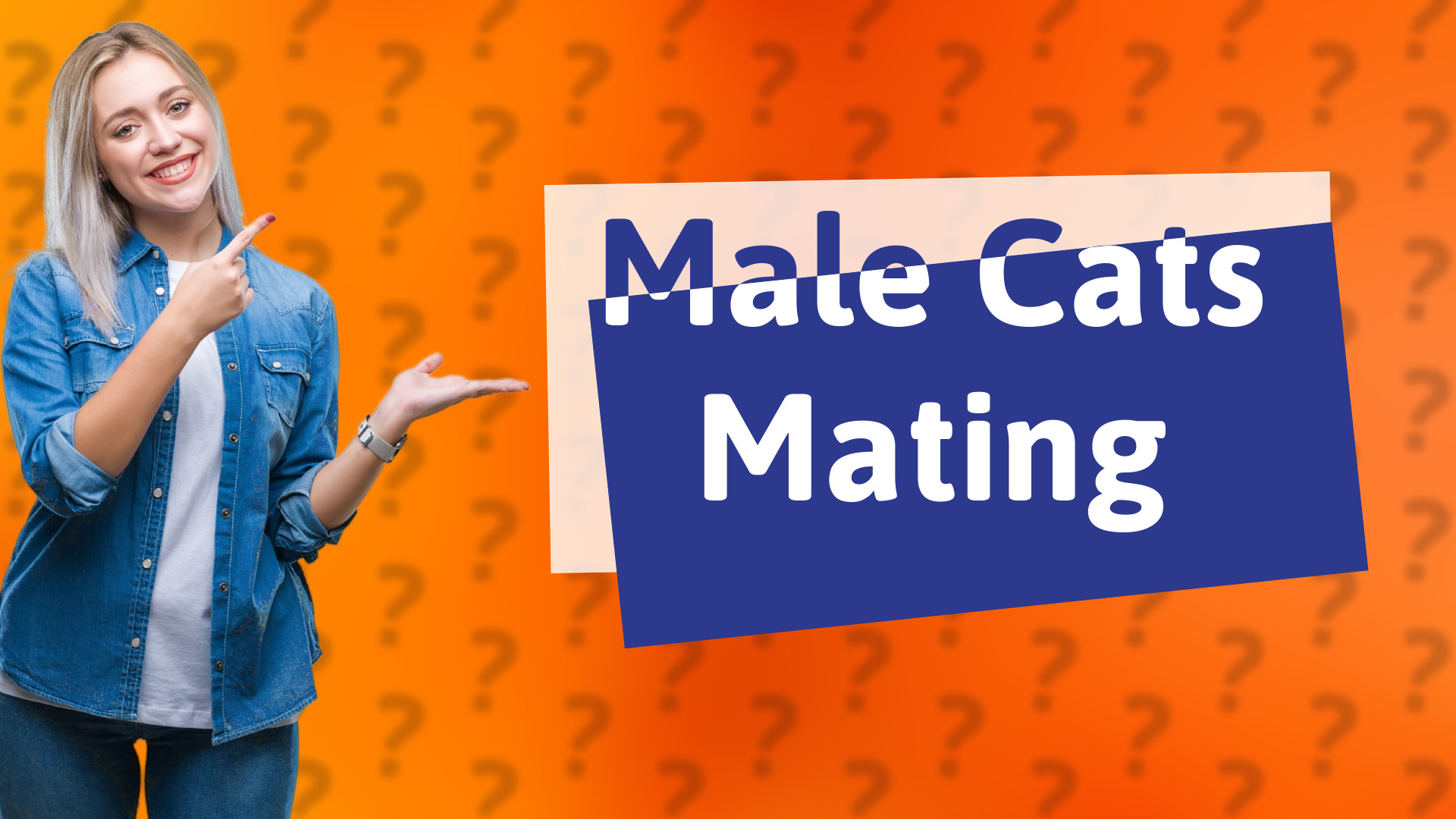 Male Cats Mating