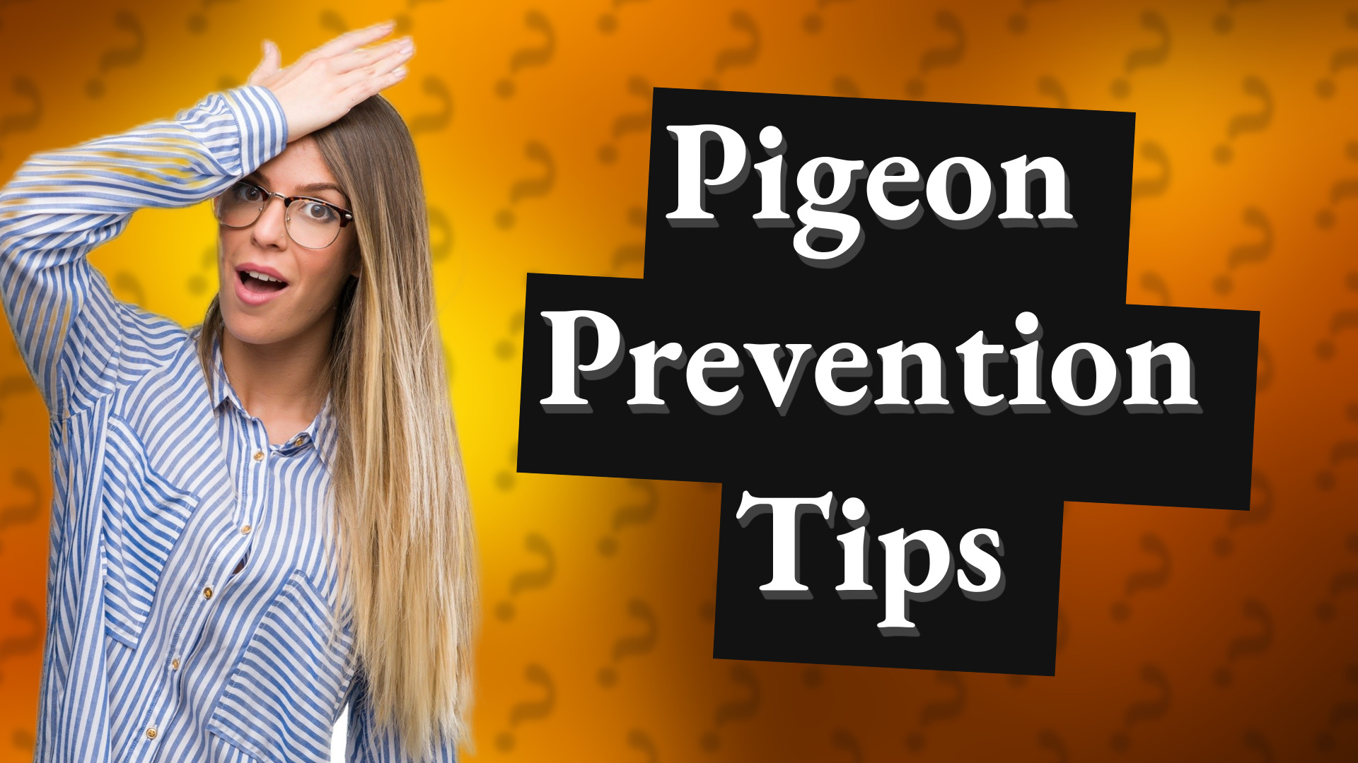 Pigeon Prevention Tips