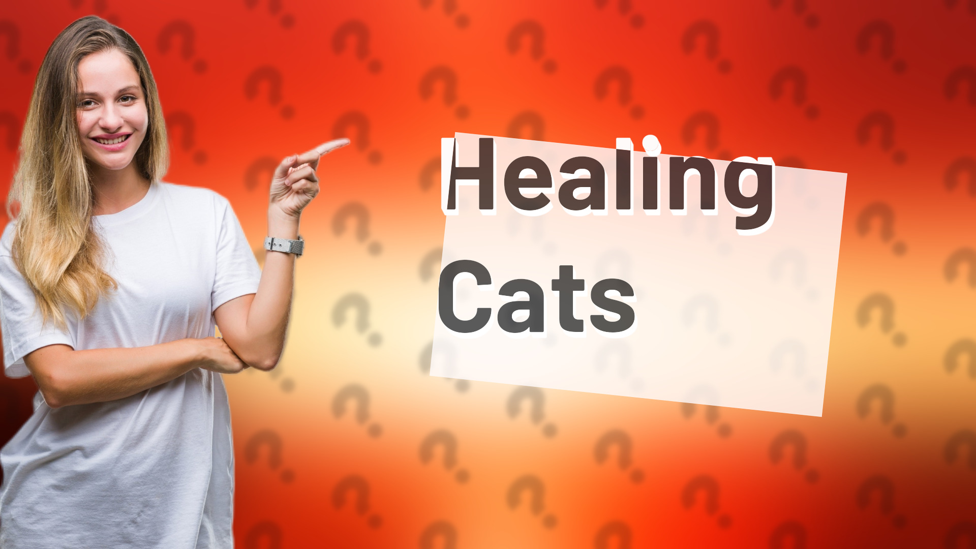 Healing Cats