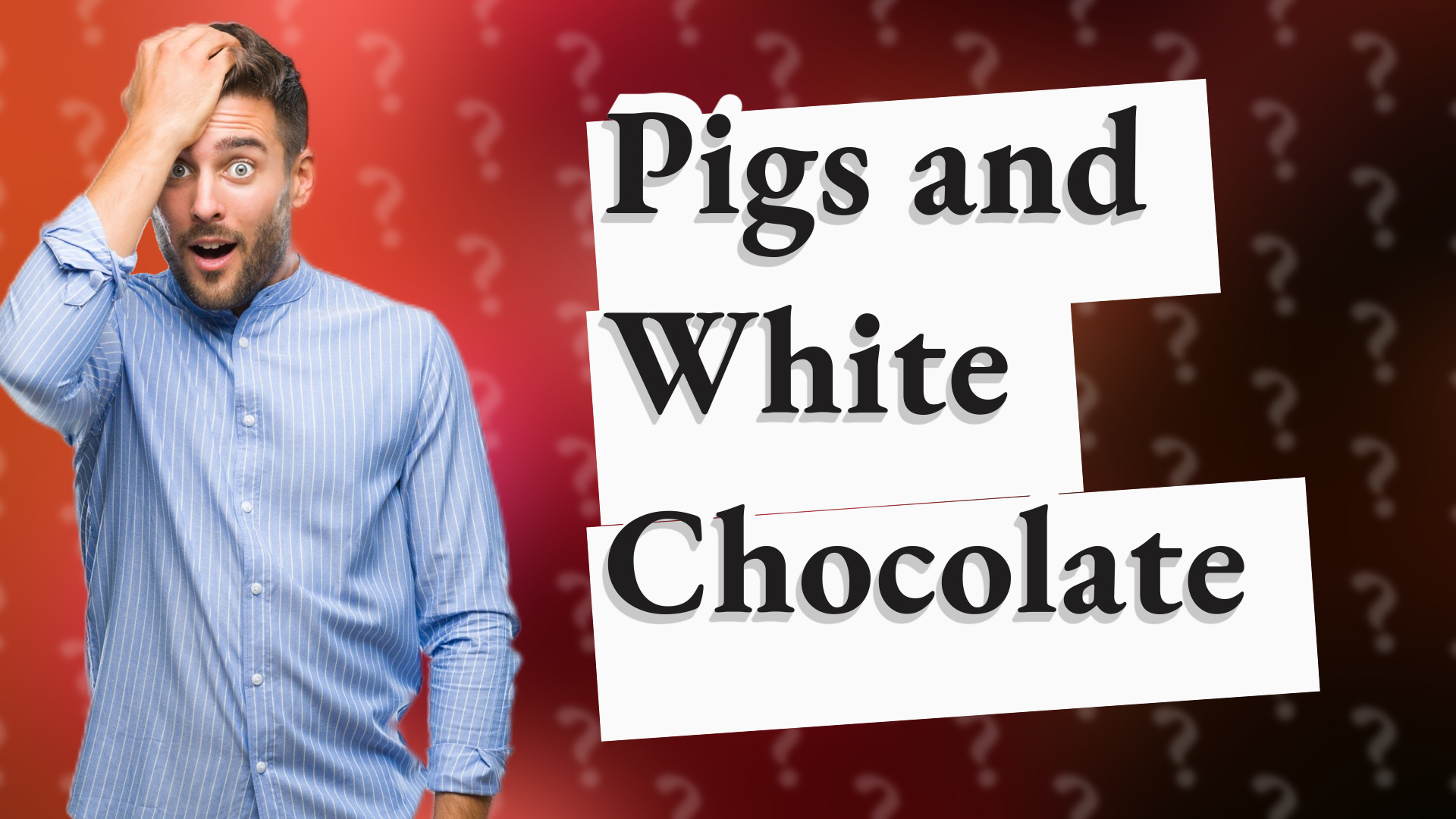 Pigs and White Chocolate