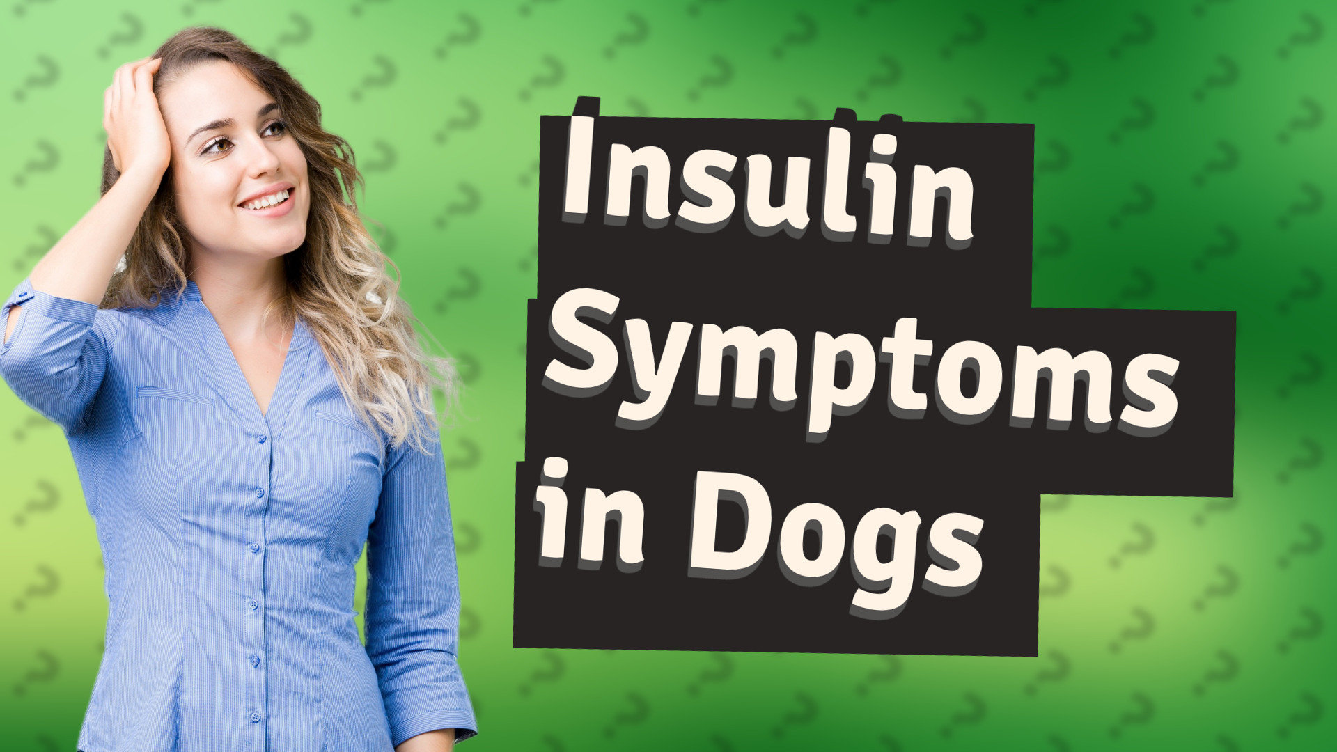 Insulin Symptoms in Dogs