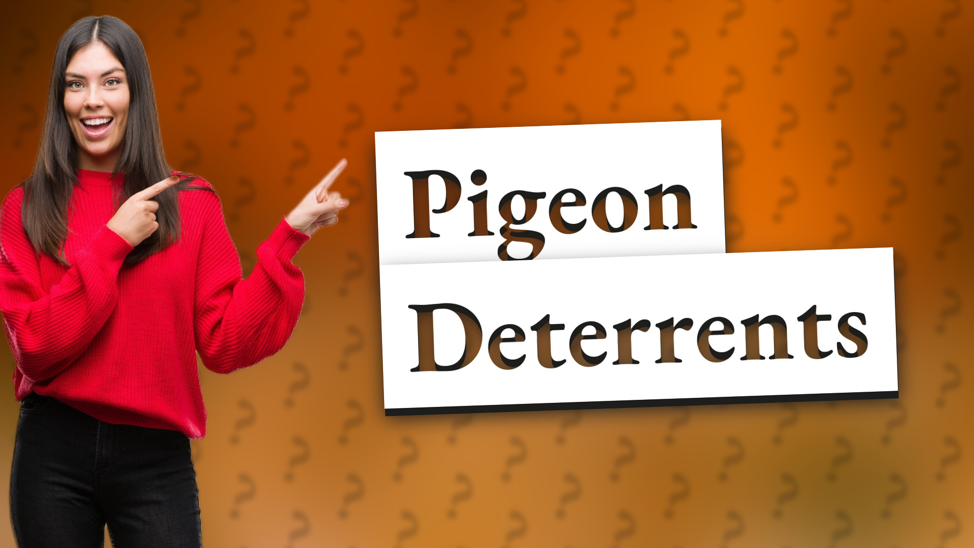 Pigeon Deterrents