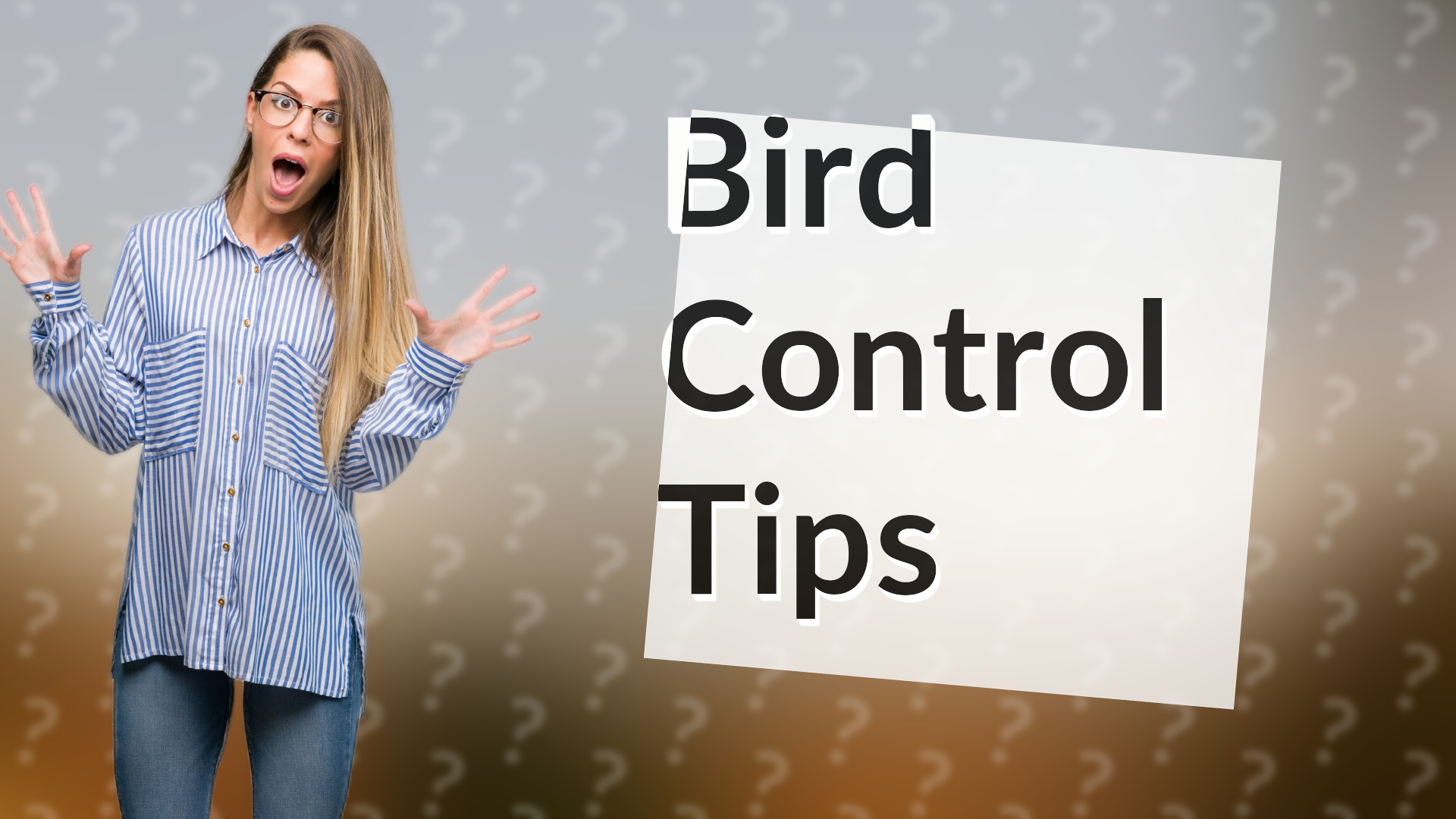 Bird Control Tips