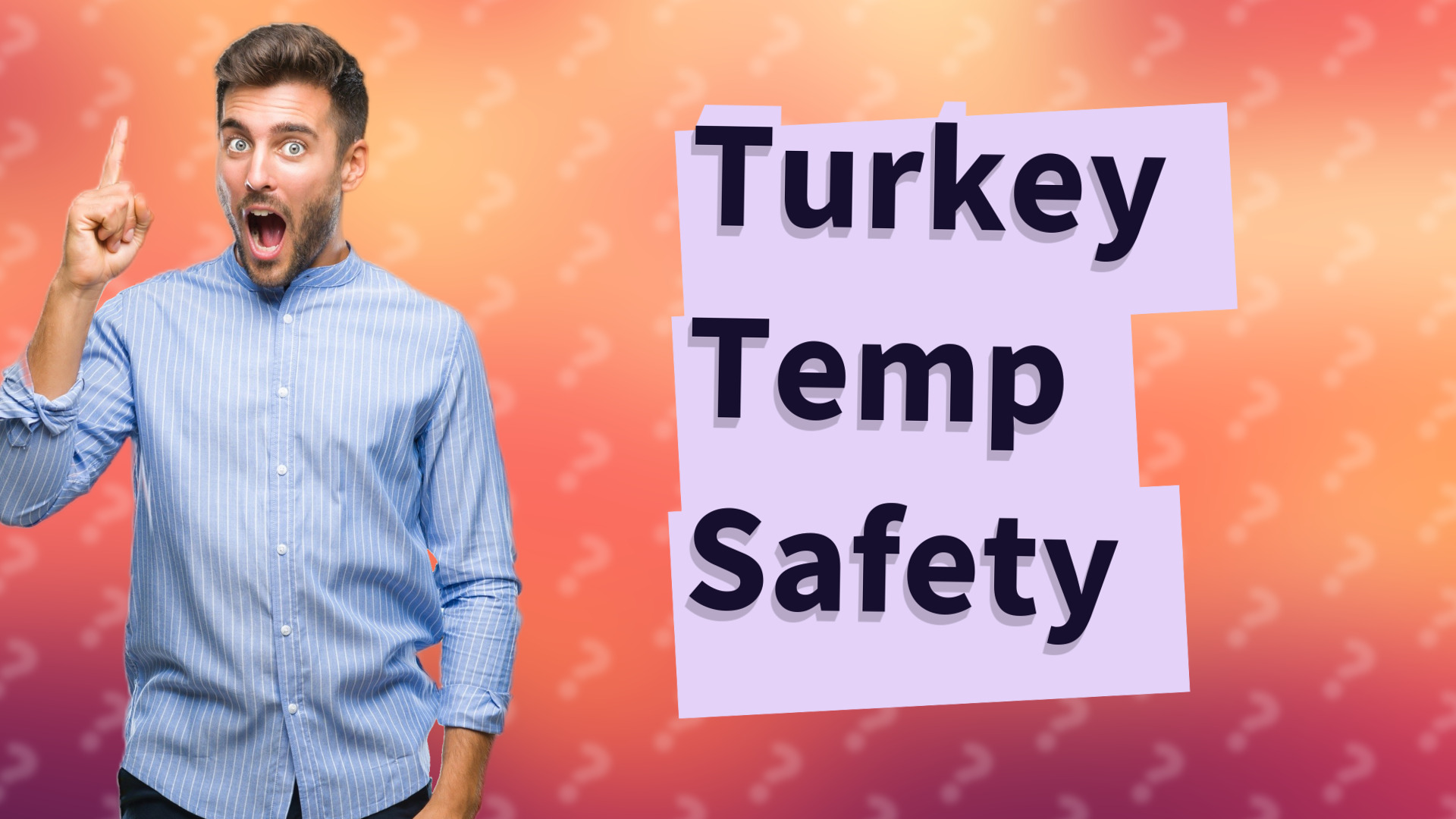 Turkey Temp Safety