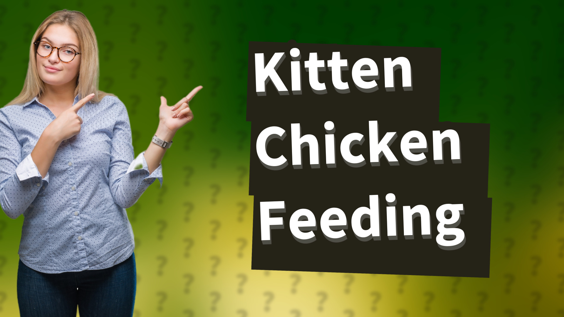 Kitten Chicken Feeding