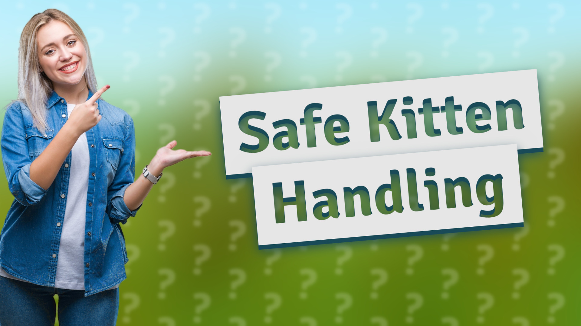Safe Kitten Handling