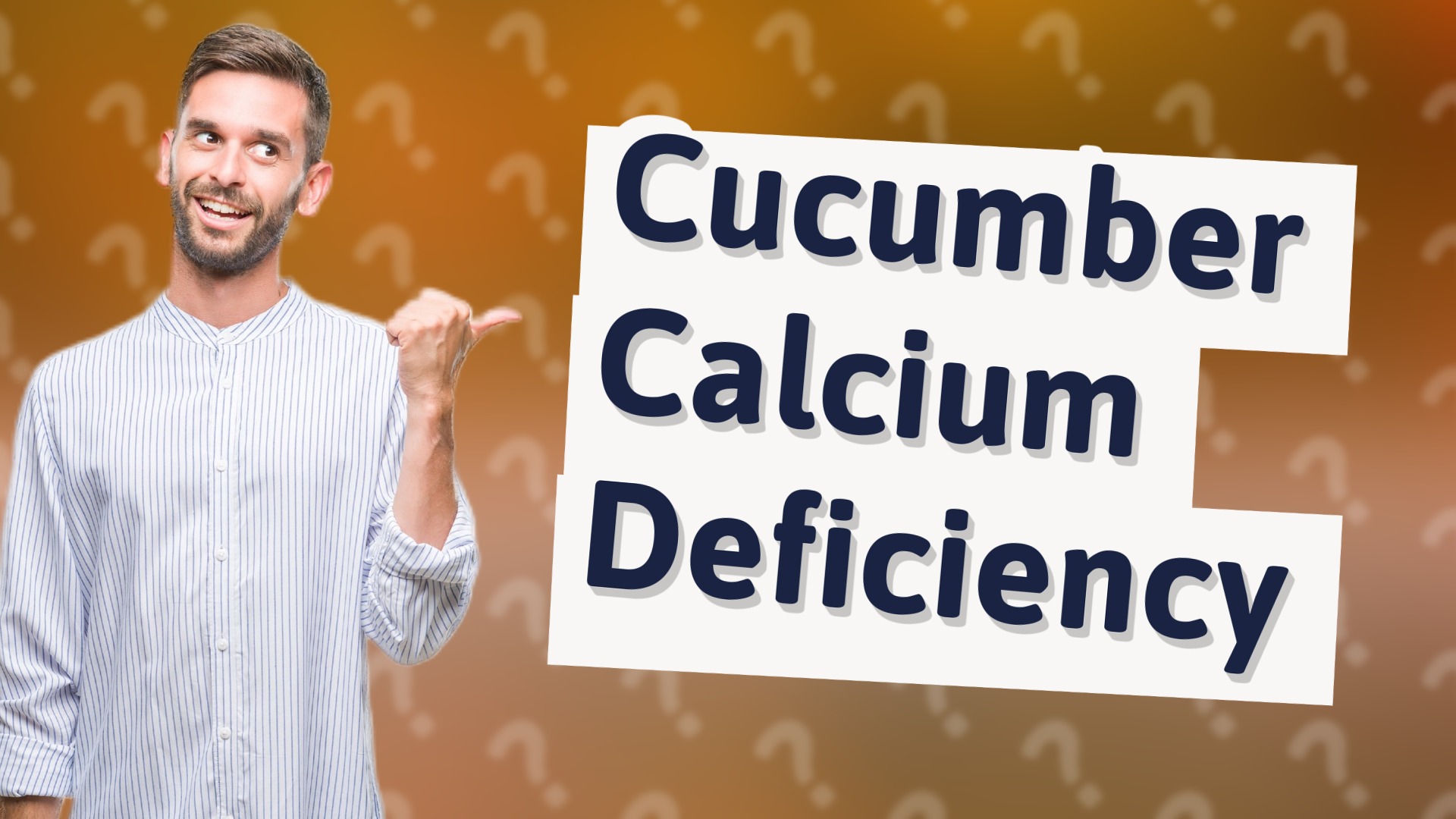 Cucumber Calcium Deficiency