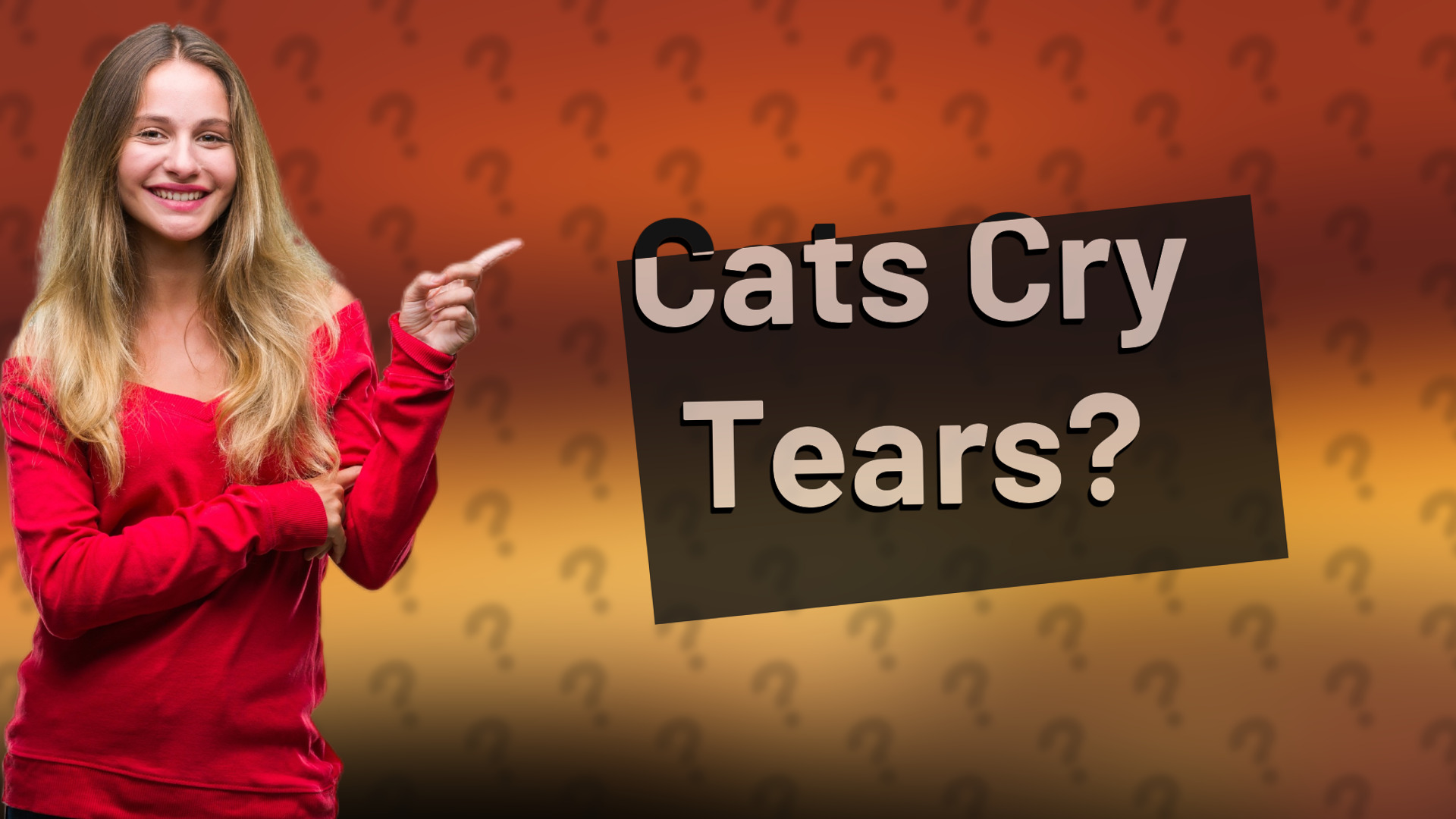 Cats Cry Tears?