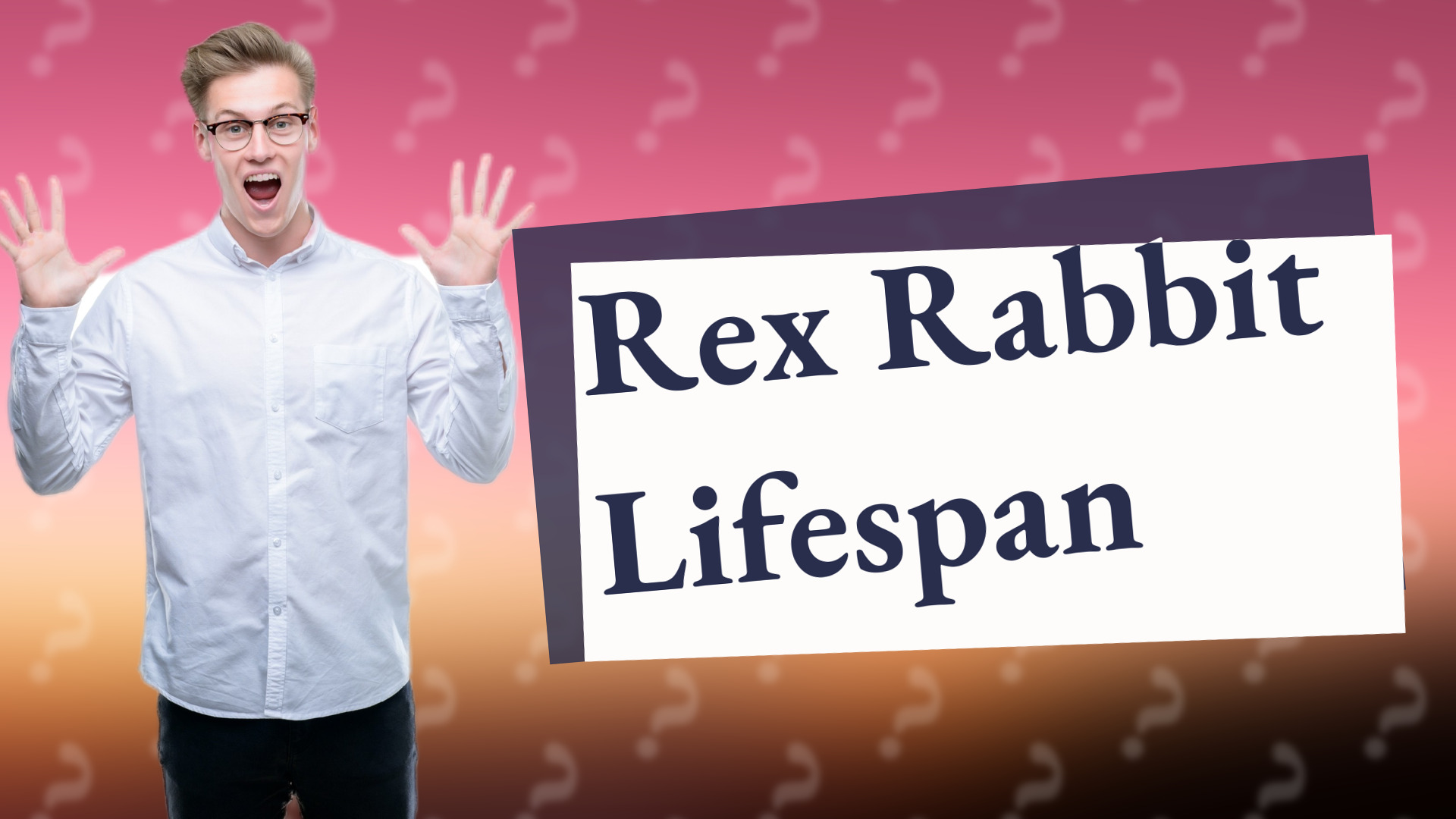 Rex Rabbit Lifespan