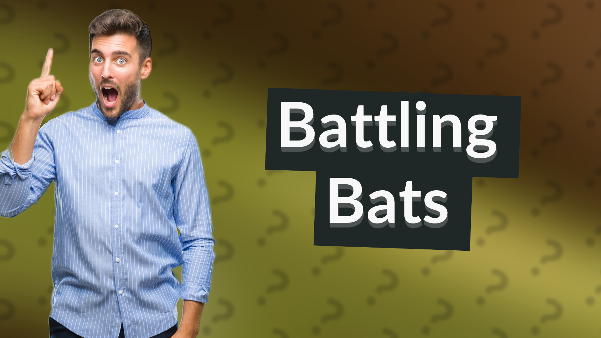 Battling Bats