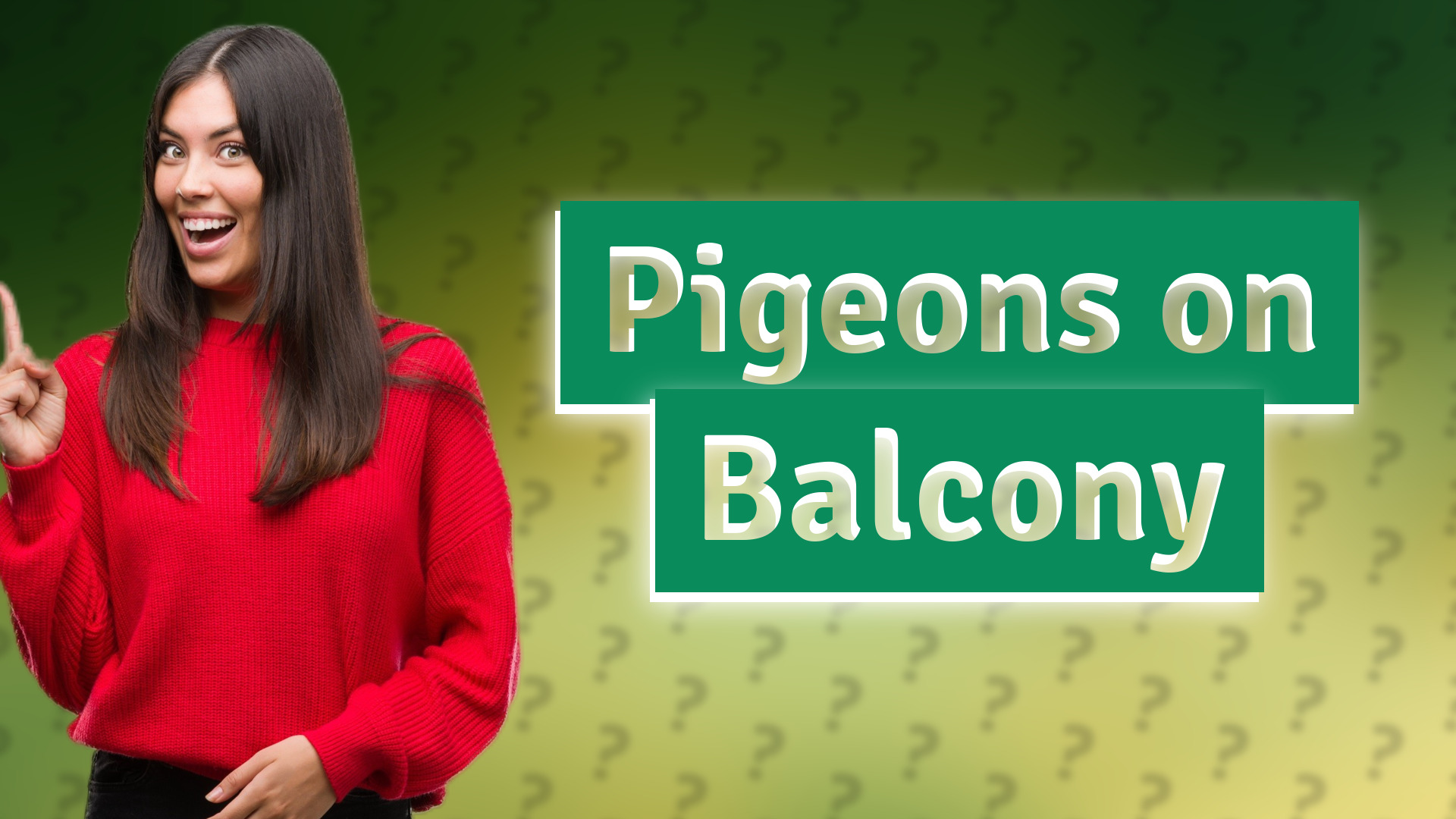 Pigeons on Balcony