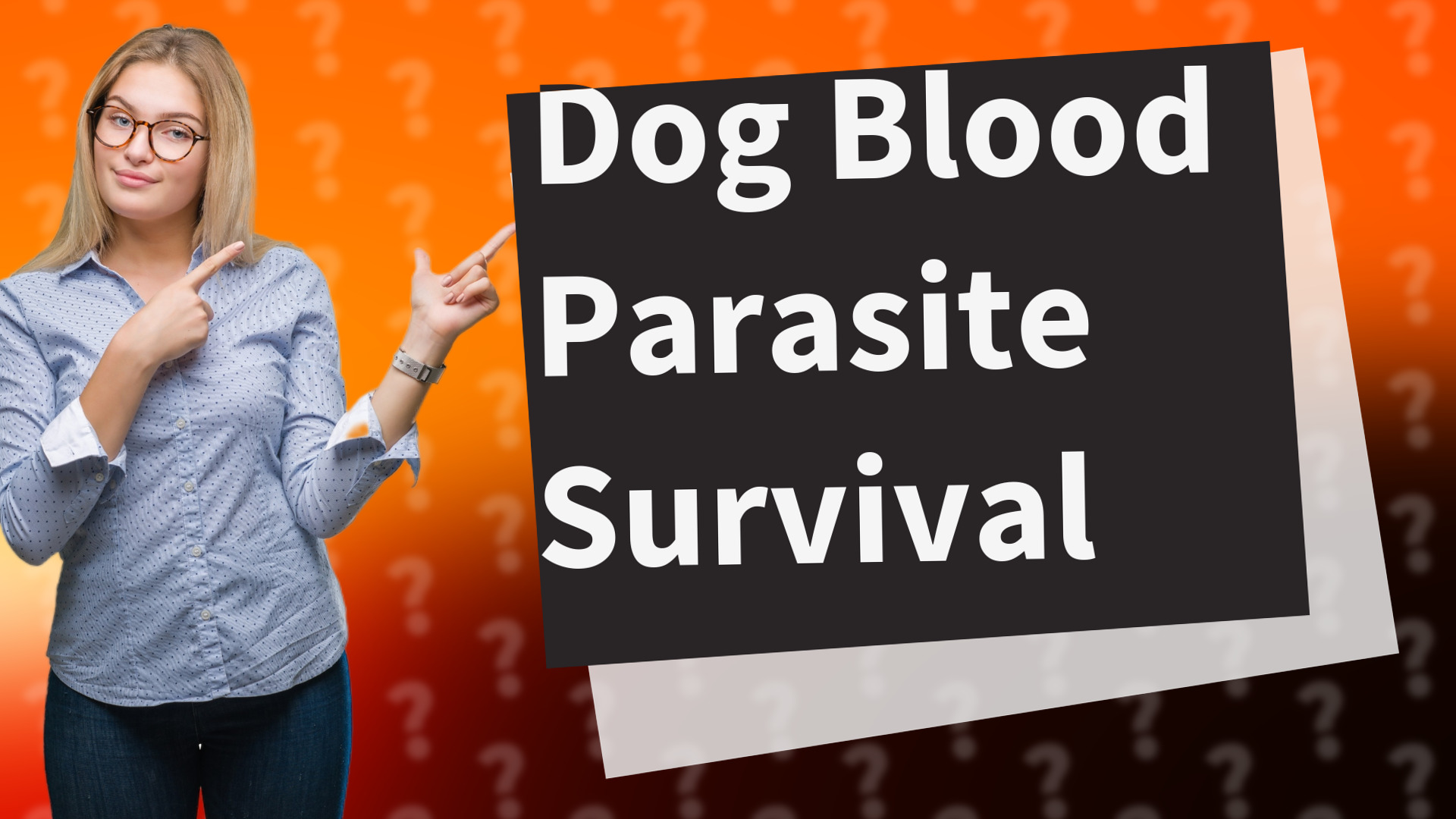Dog Blood Parasite Survival