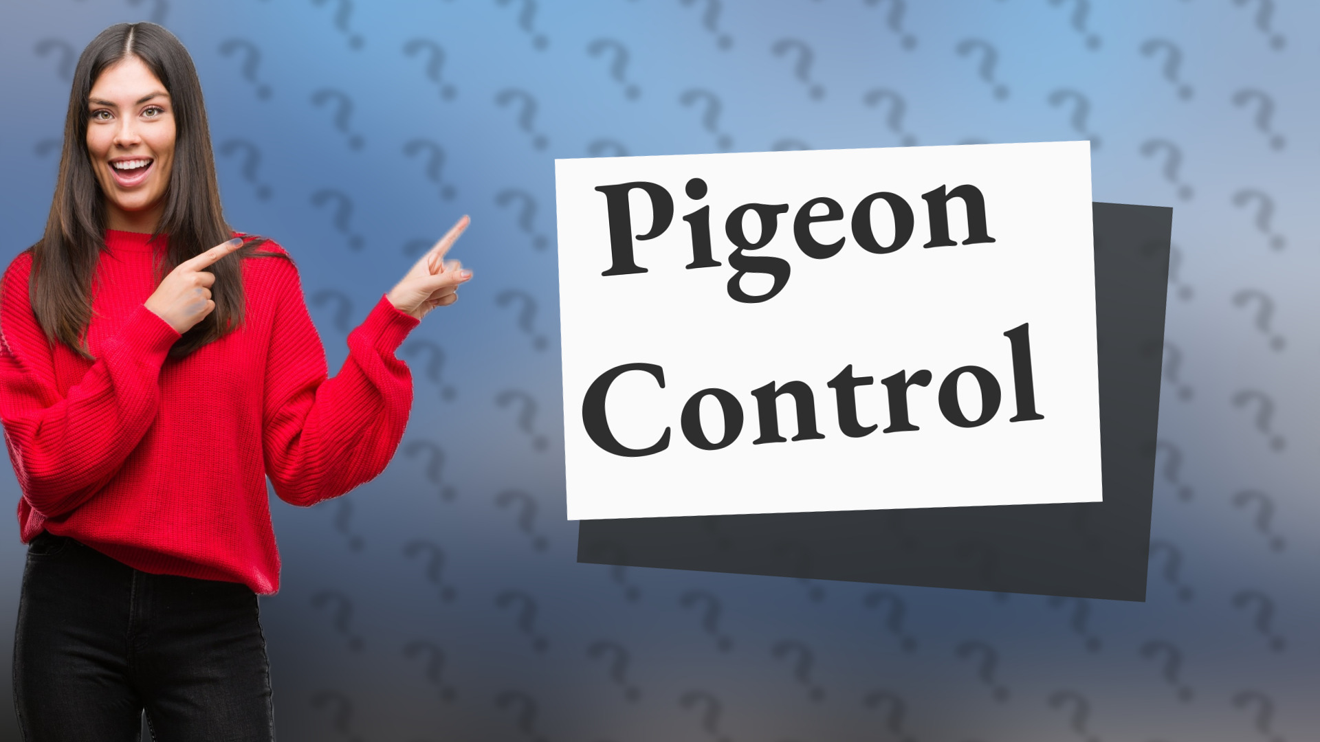 Pigeon Control