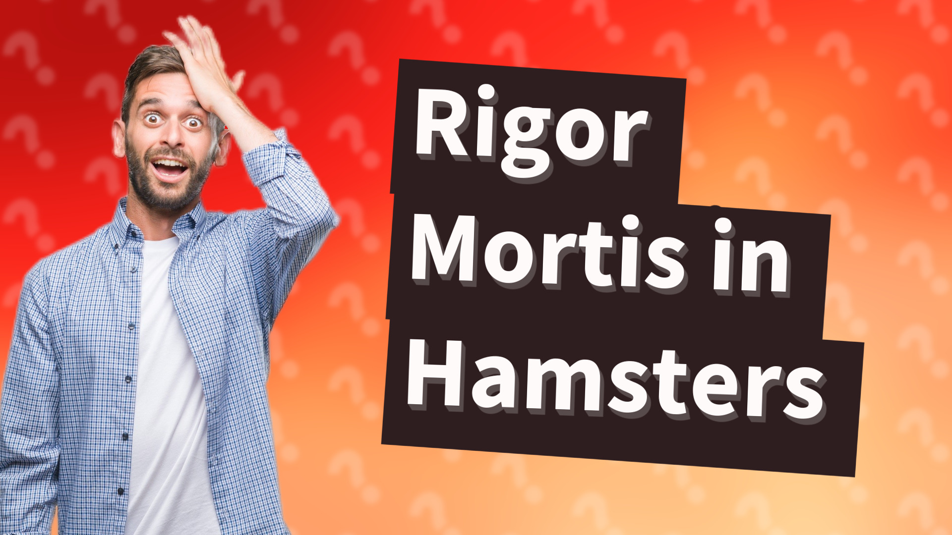 Rigor Mortis in Hamsters