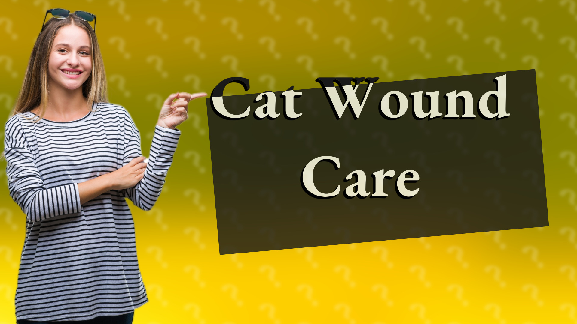 Cat Wound Care