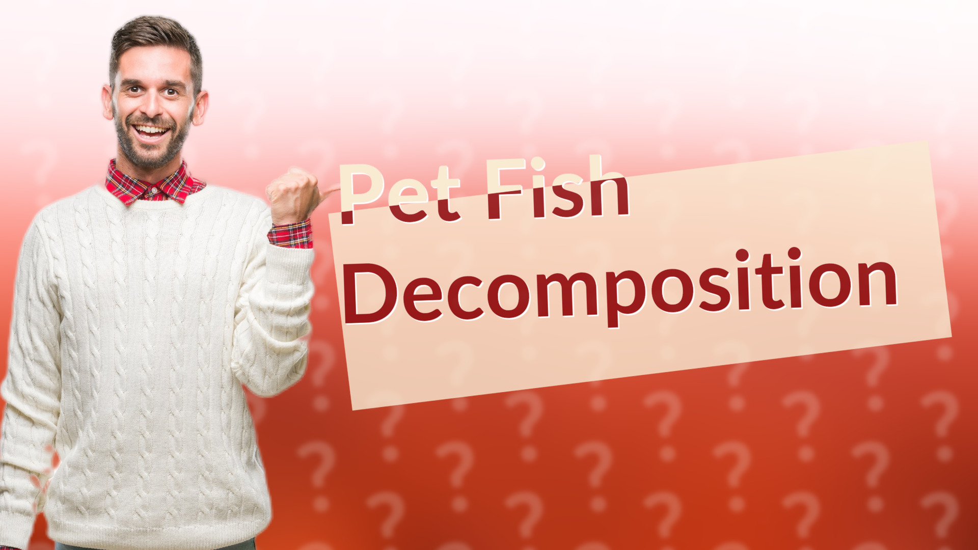 Pet Fish Decomposition
