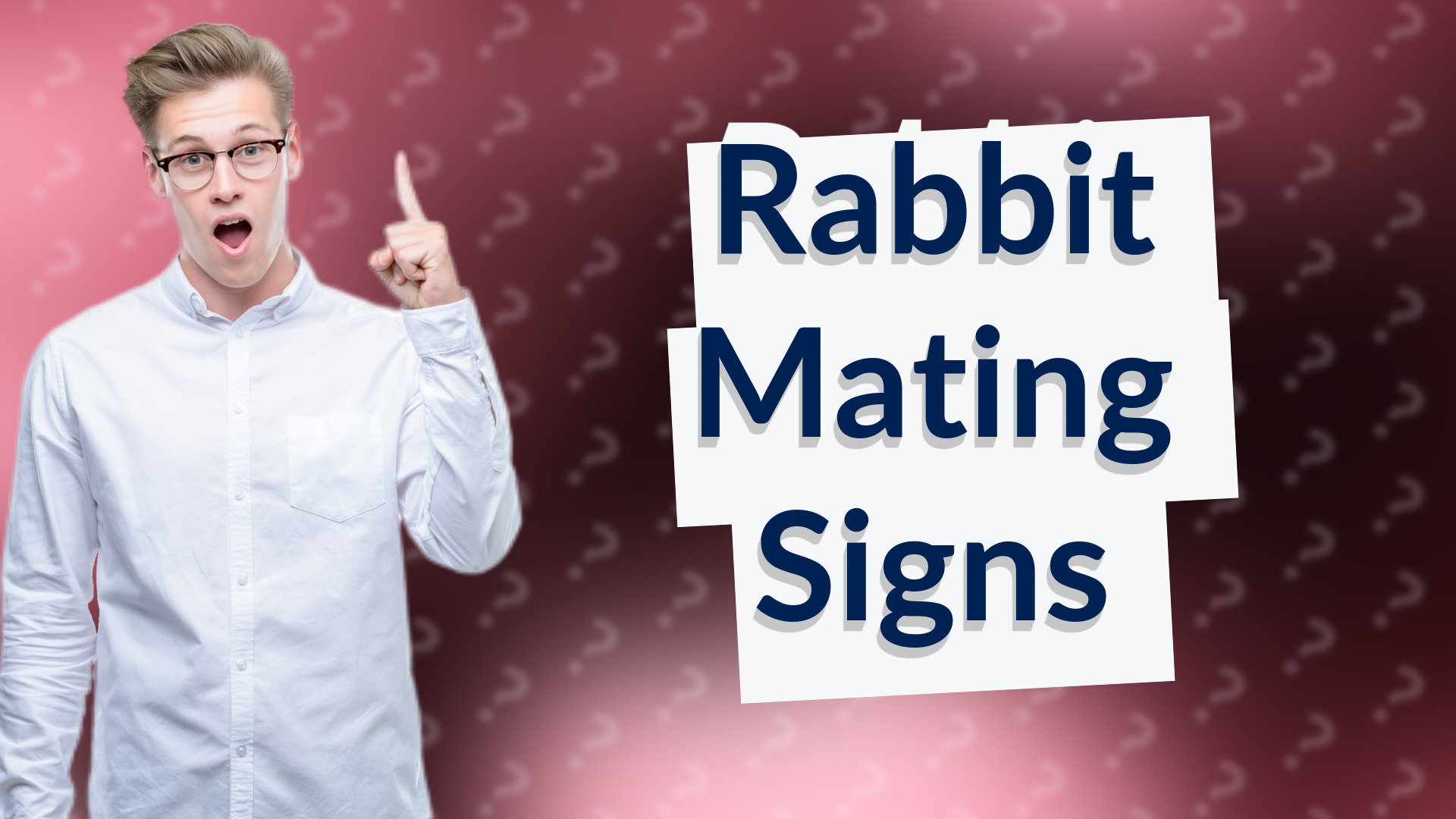 Rabbit Mating Signs