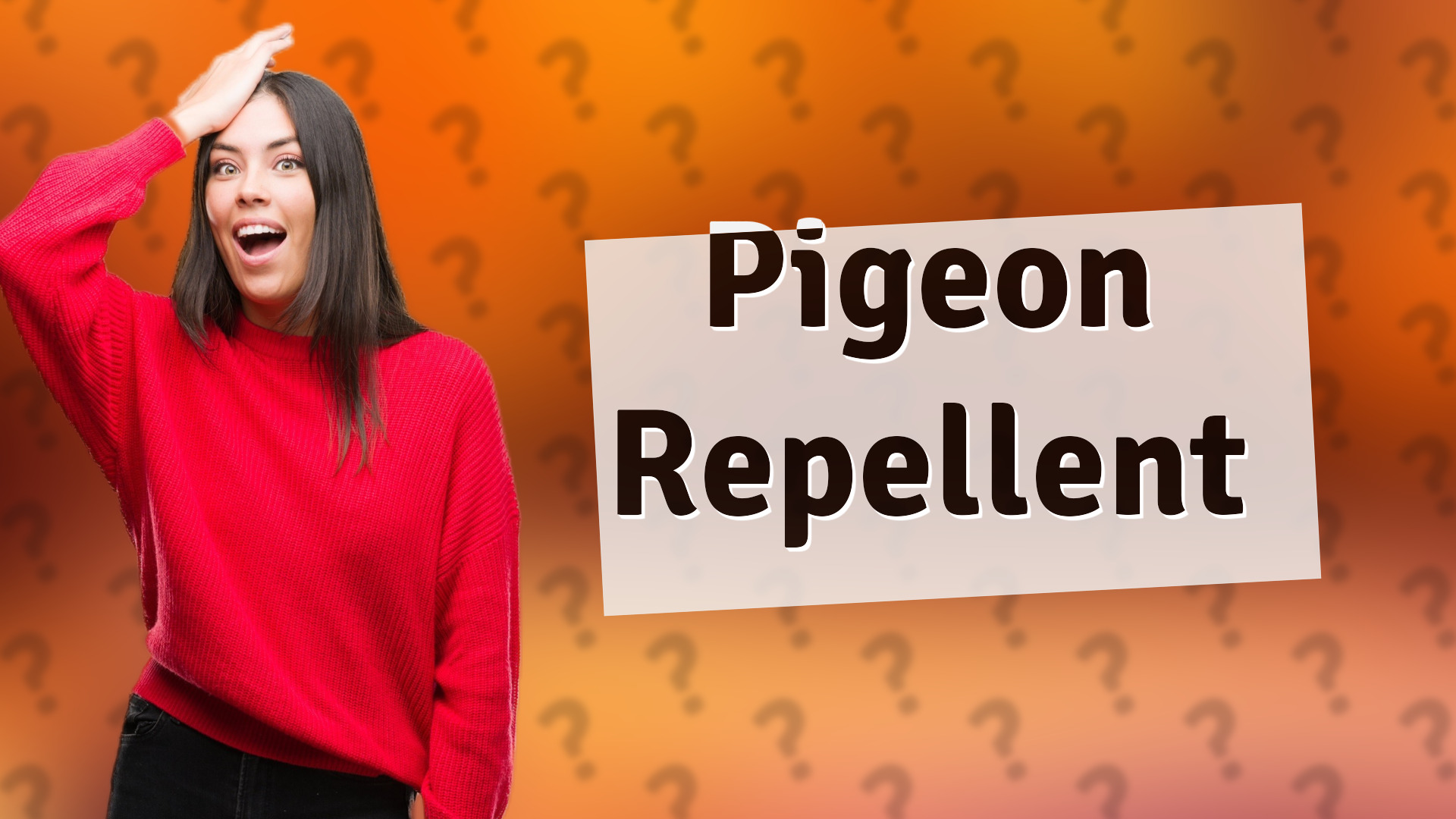 Pigeon Repellent