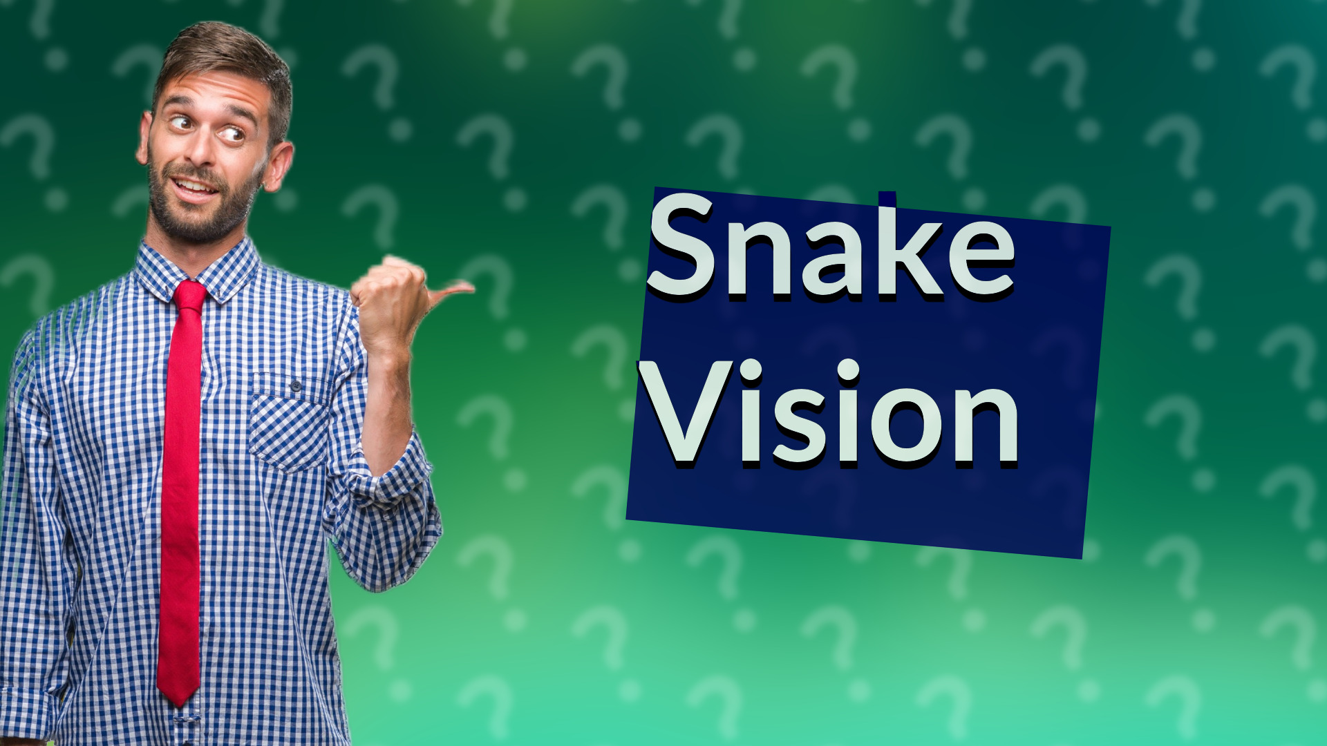 Snake Vision
