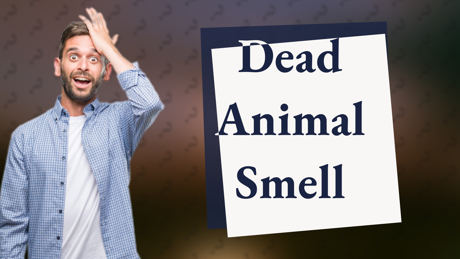 Dead Animal Smell