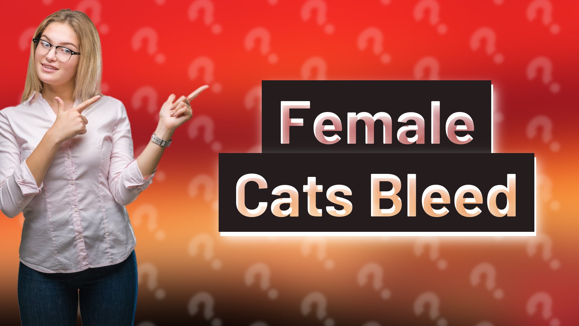 Female Cats Bleed