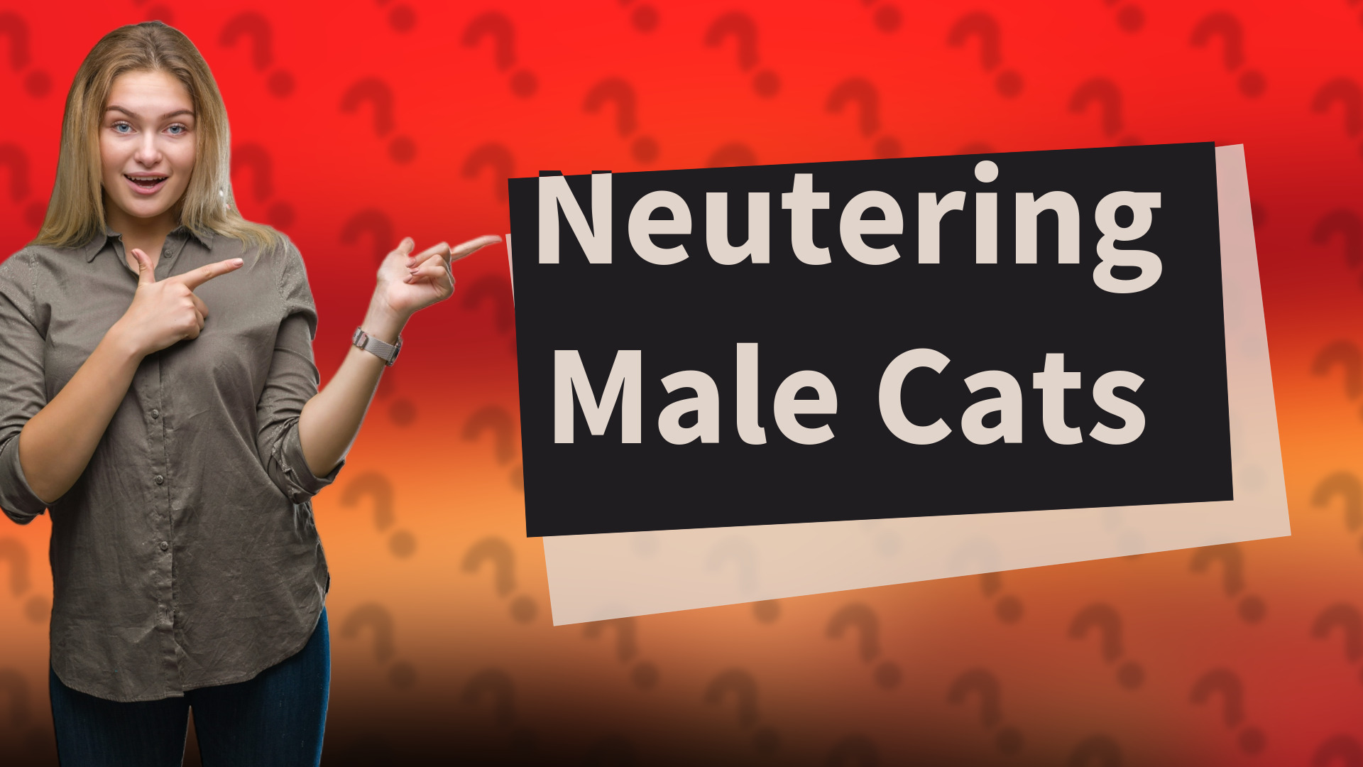 Neutering Male Cats