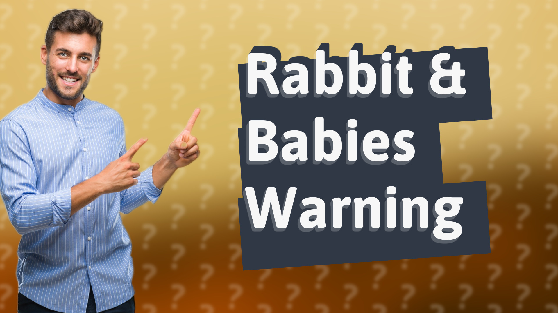 Rabbit & Babies Warning