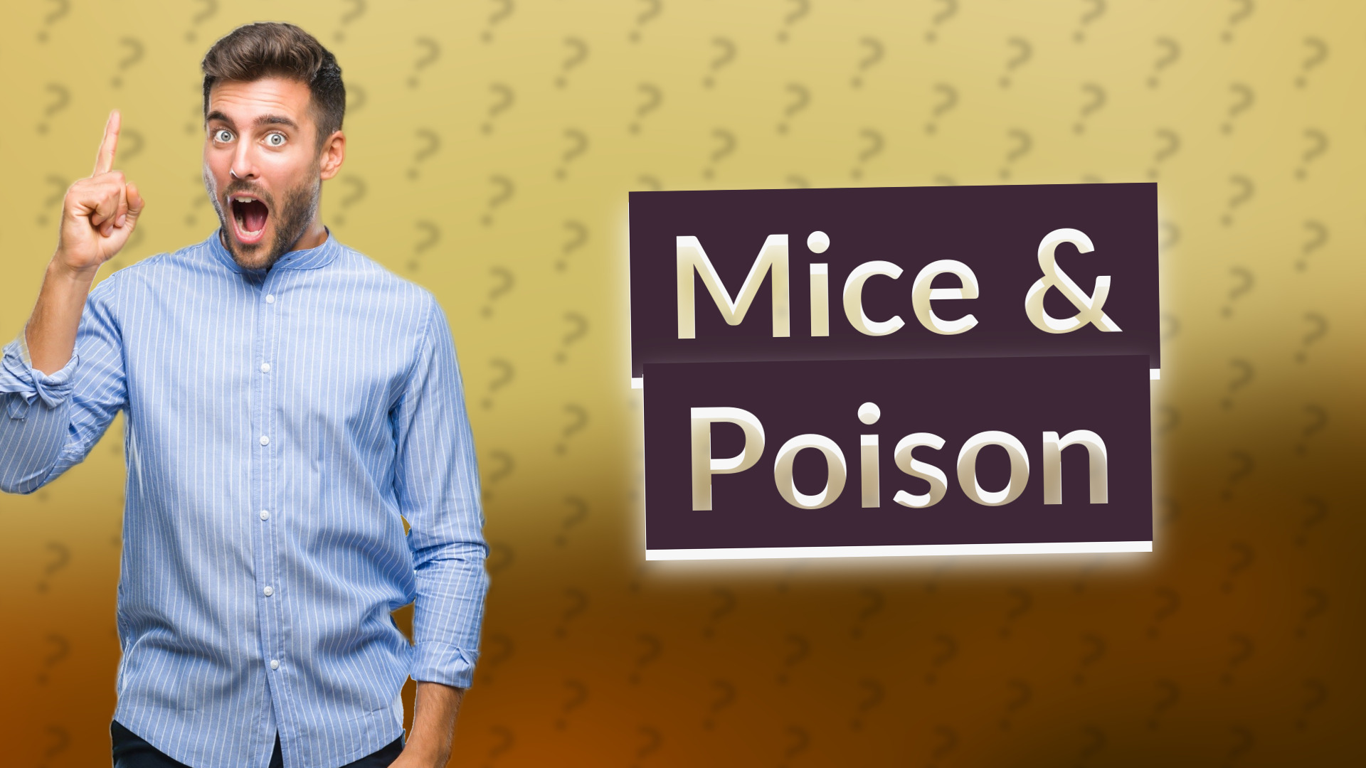 Mice & Poison