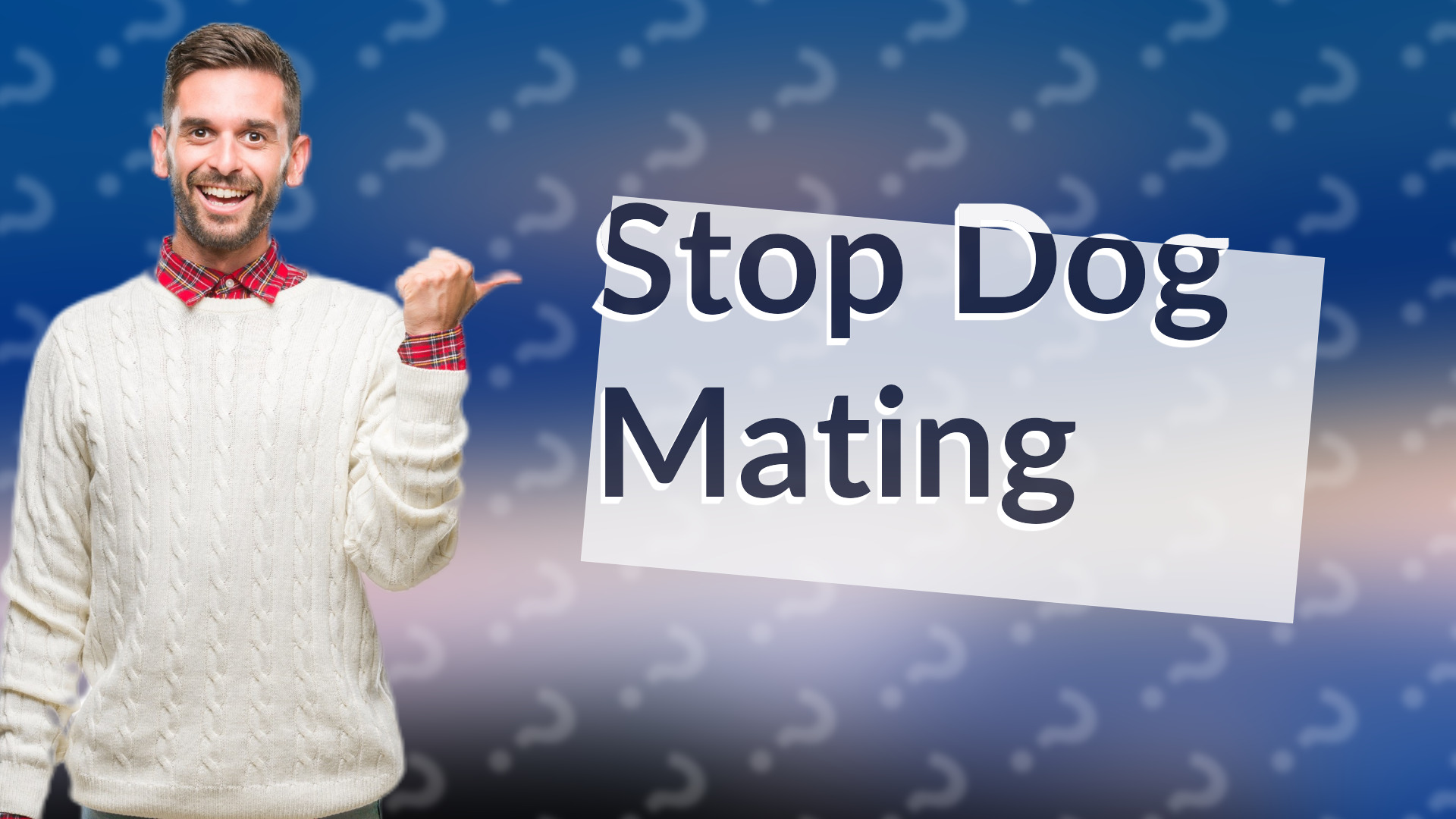 Stop Dog Mating
