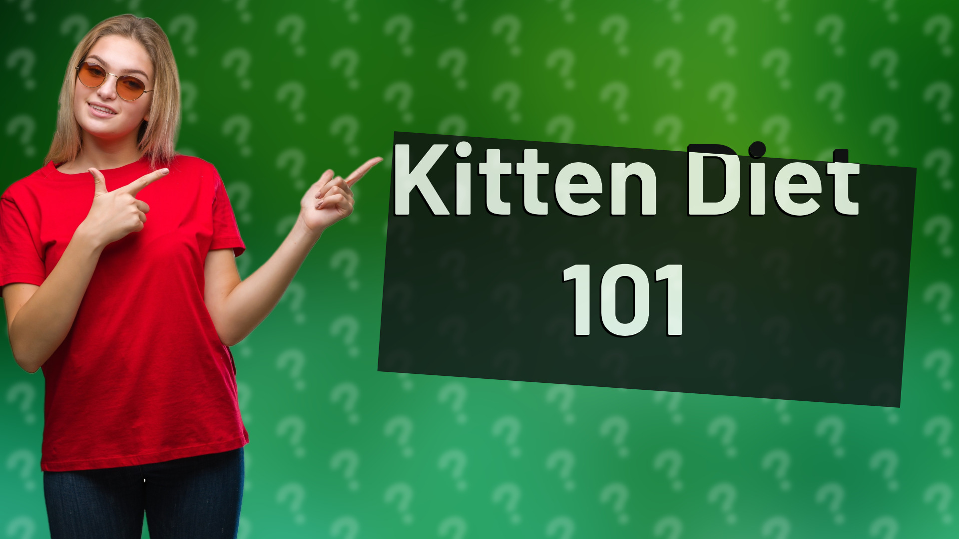 Kitten Diet 101