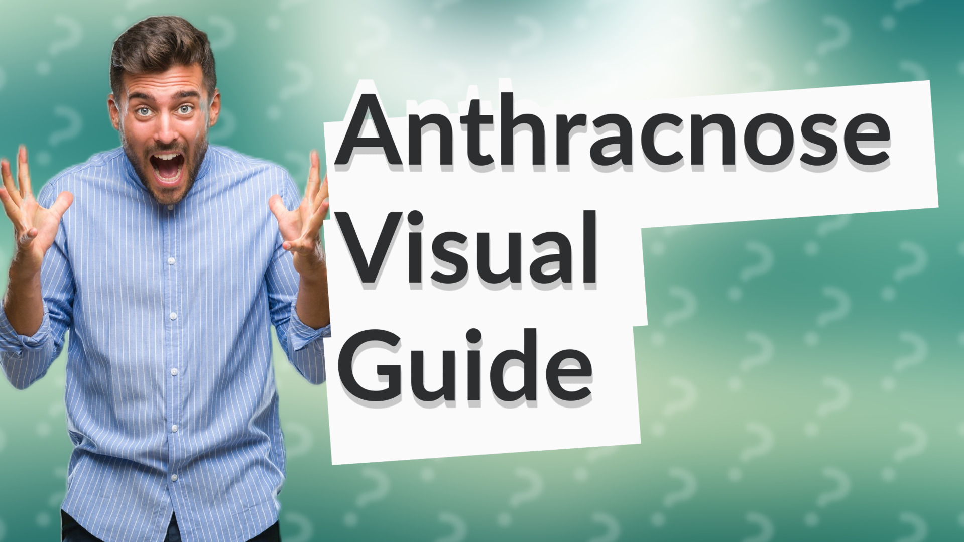Anthracnose Visual Guide
