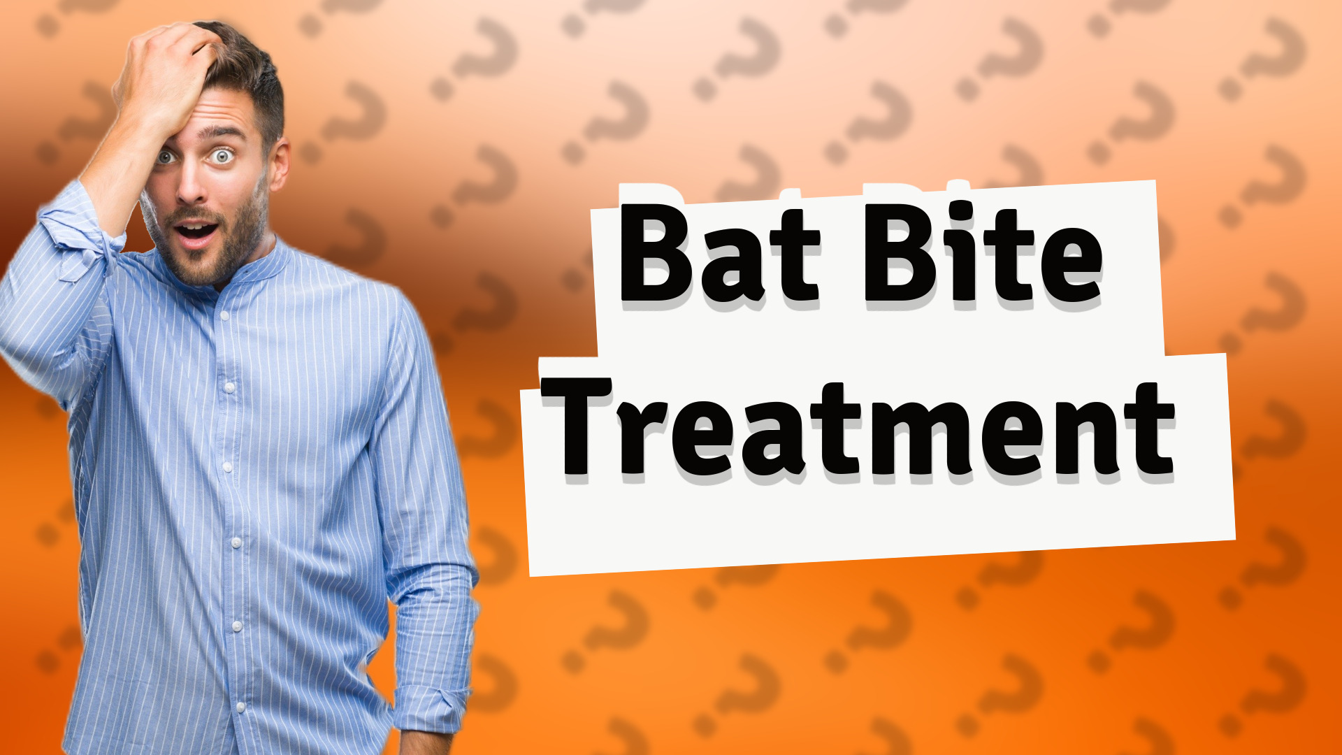 Bat Bite Treatment