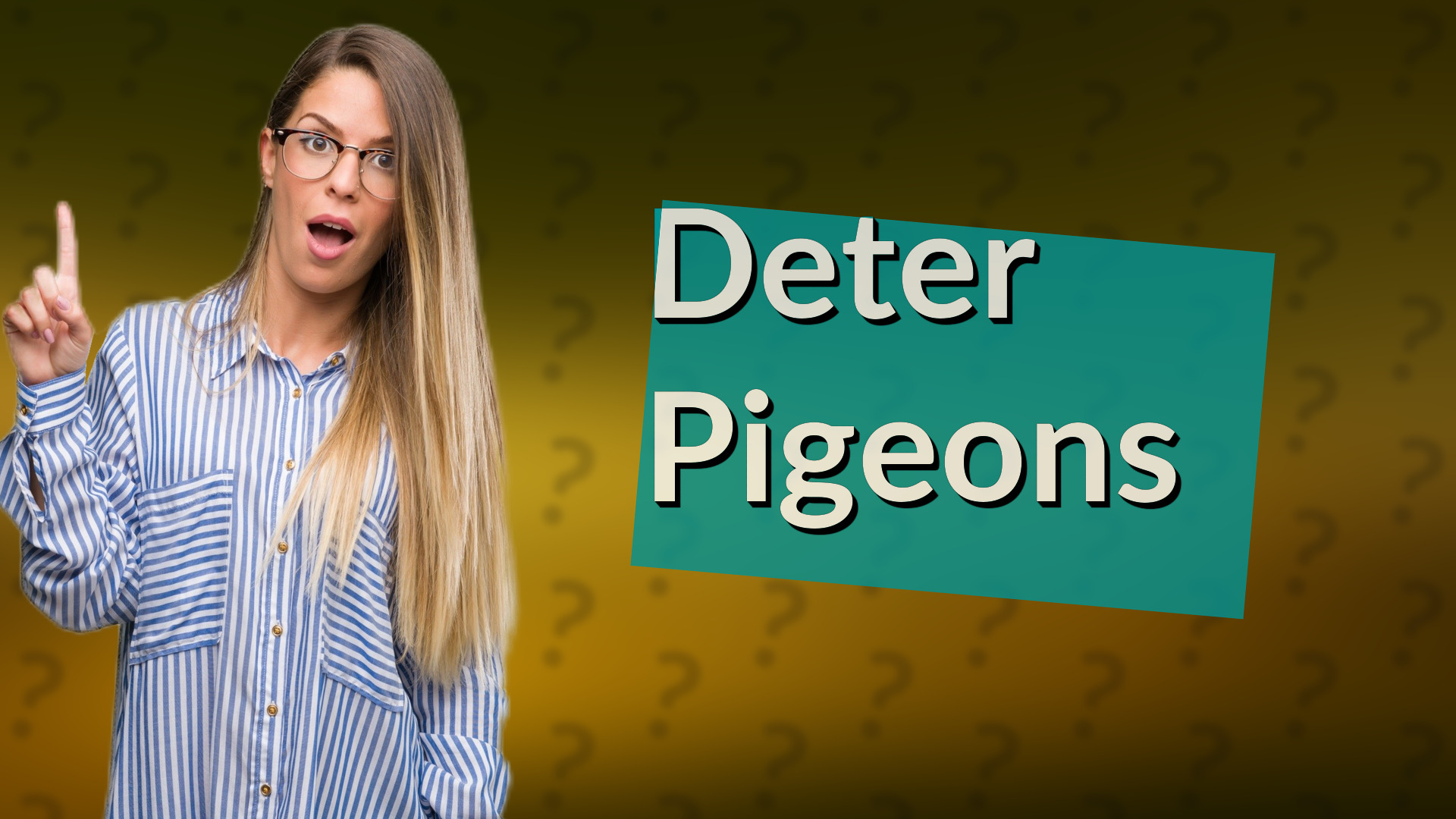 Deter Pigeons
