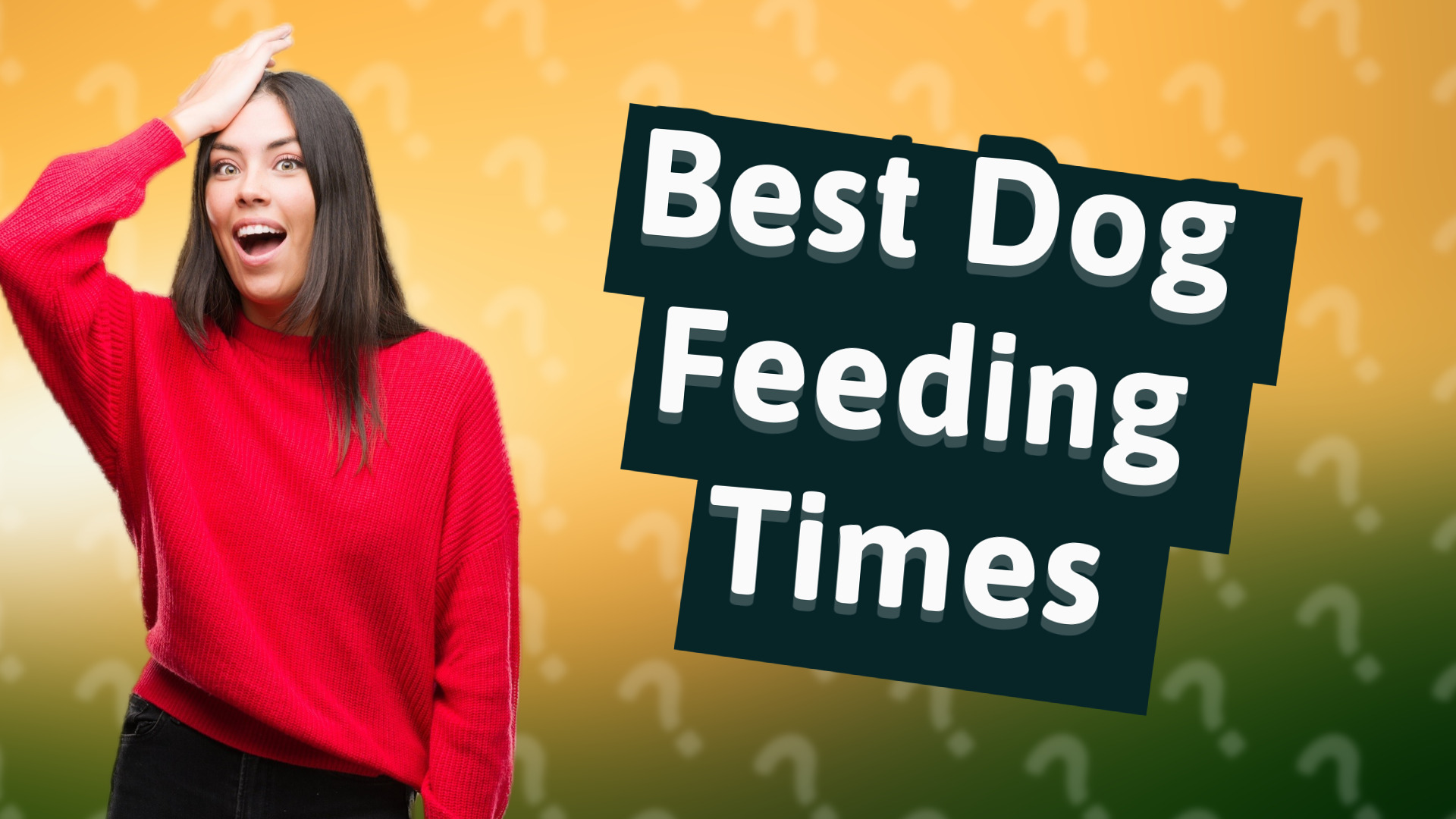 Best Dog Feeding Times