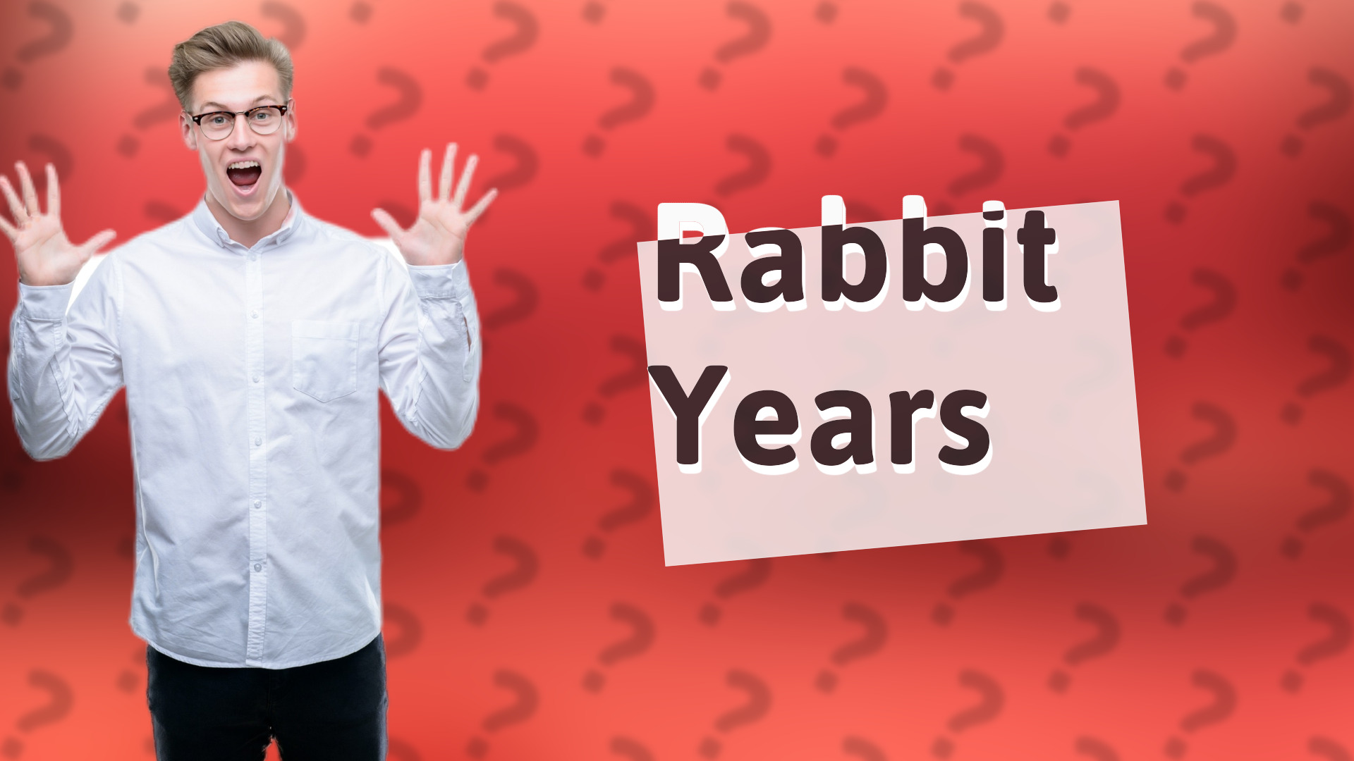 Rabbit Years