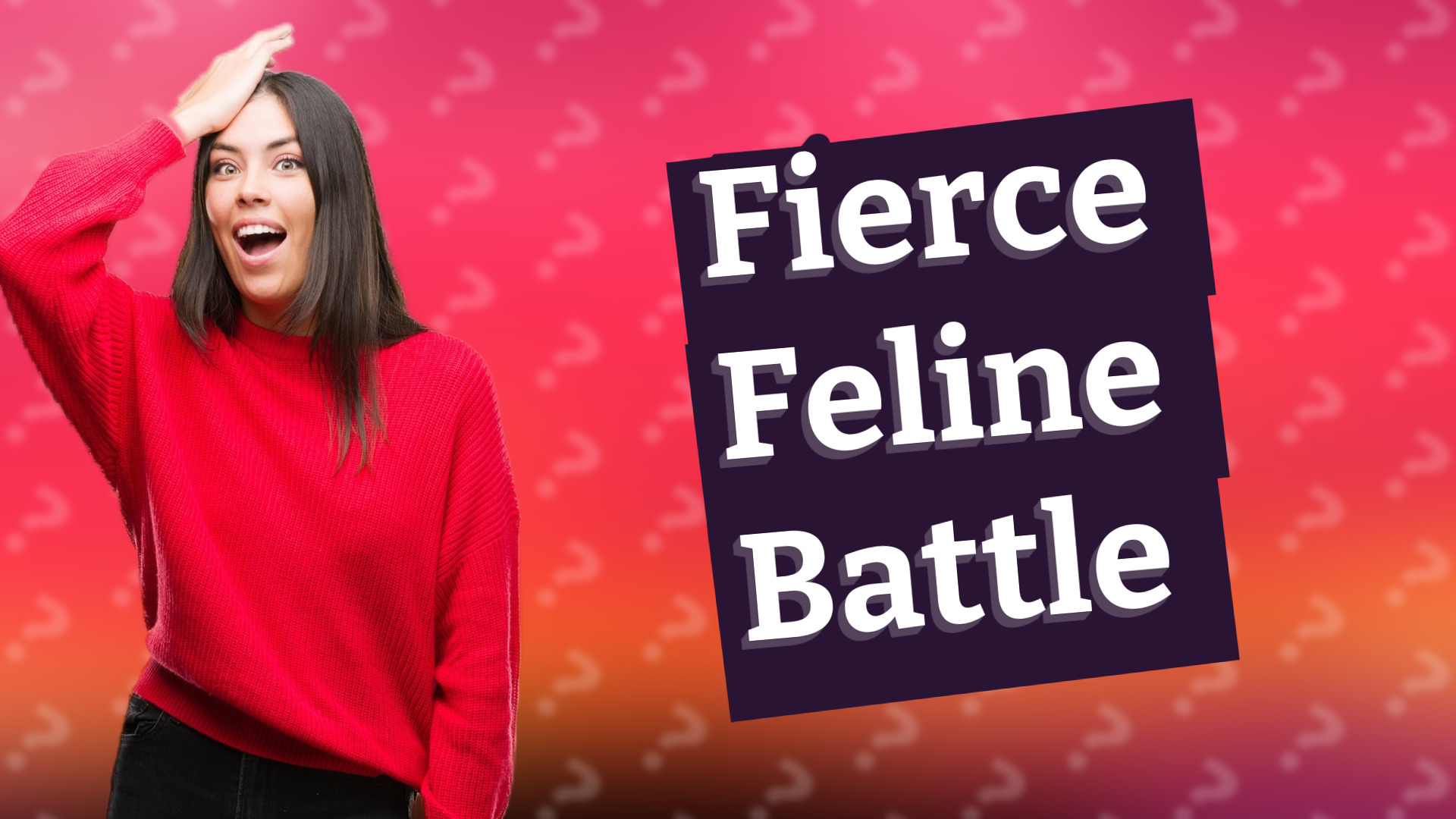 Fierce Feline Battle