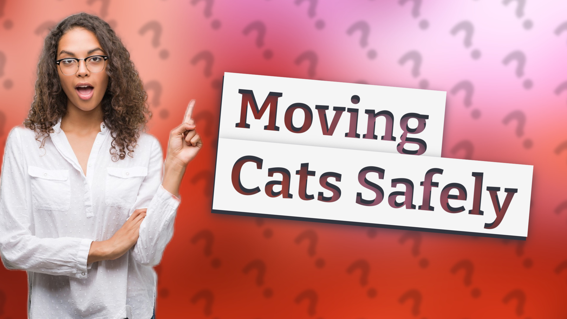 Moving Cats Safely