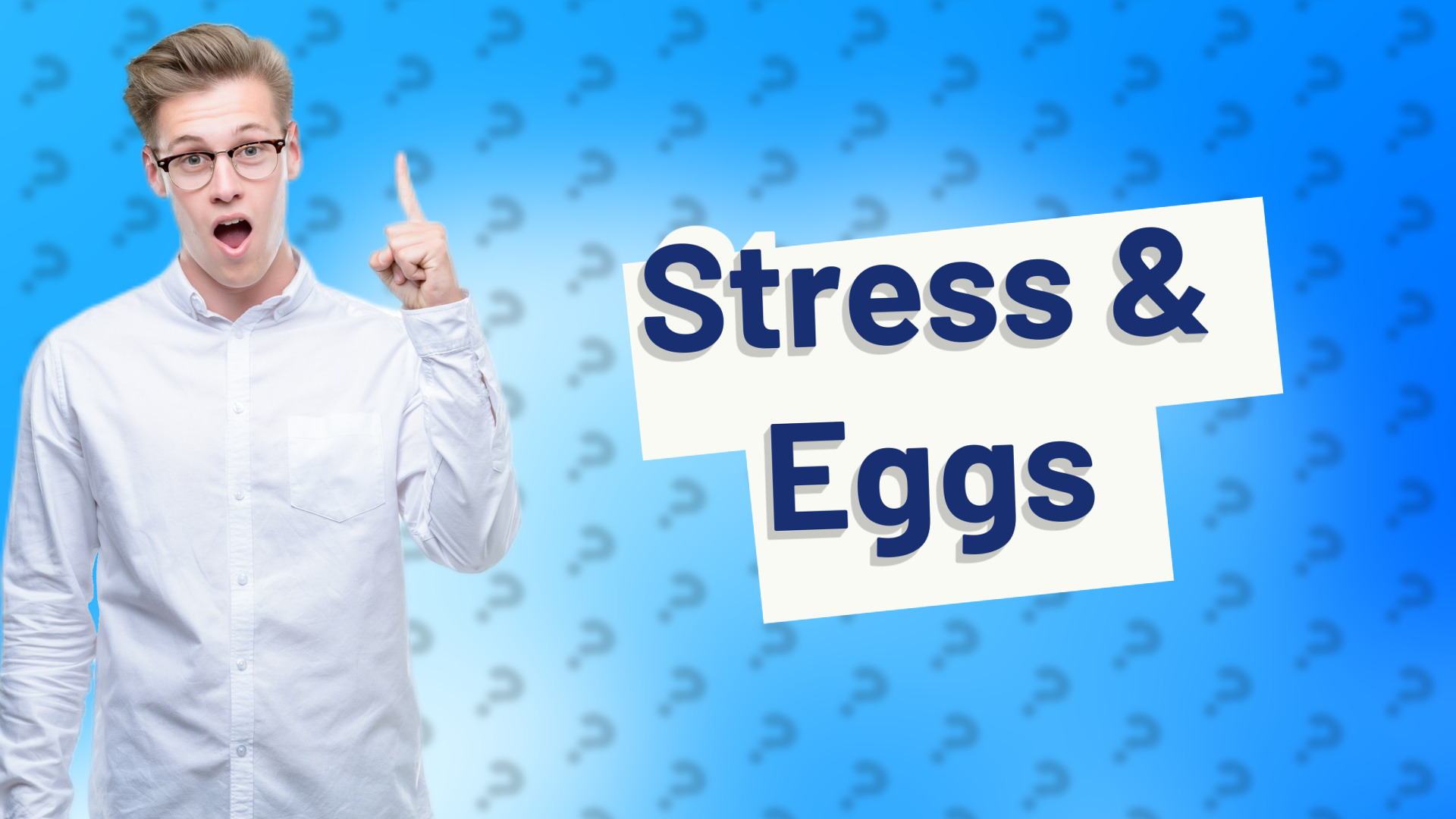 Stress & Eggs