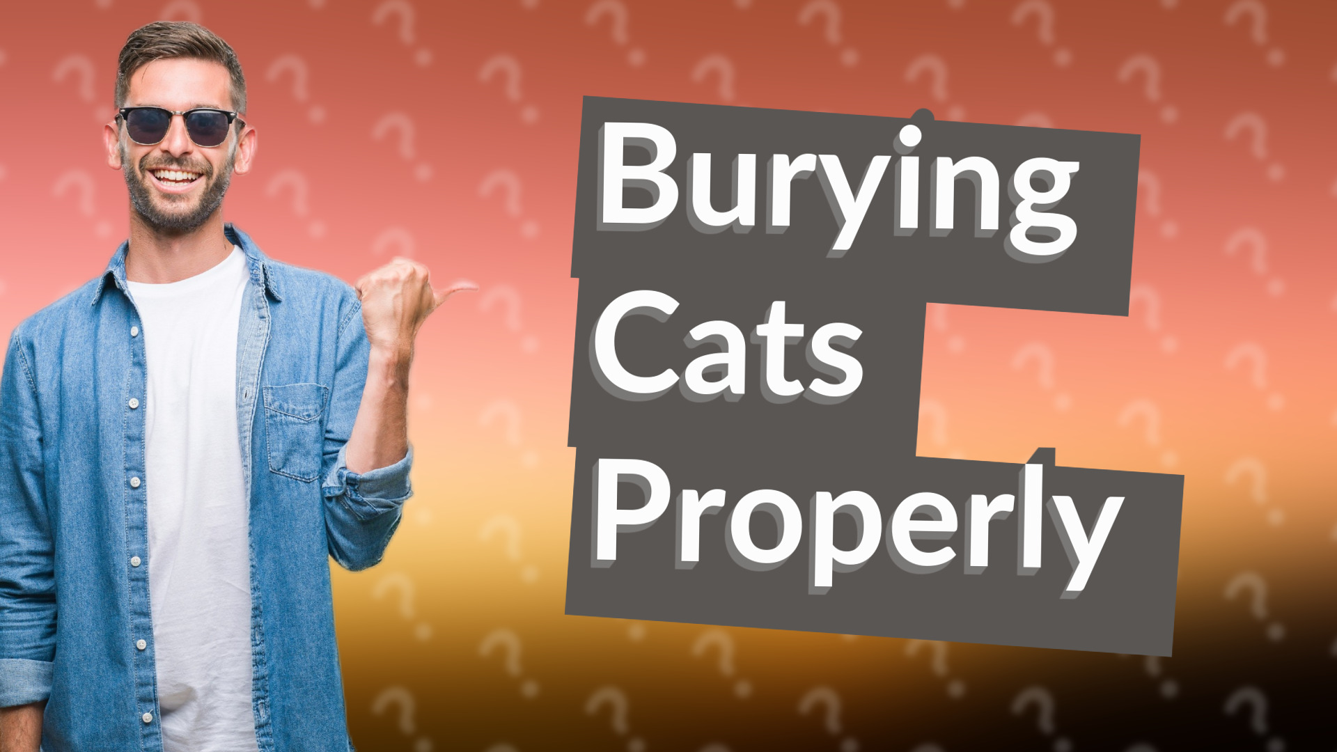Burying Cats Properly