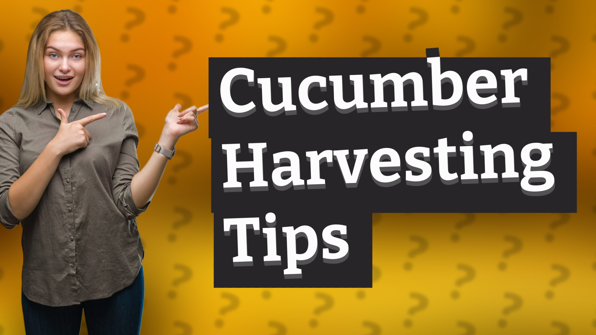 Cucumber Harvesting Tips