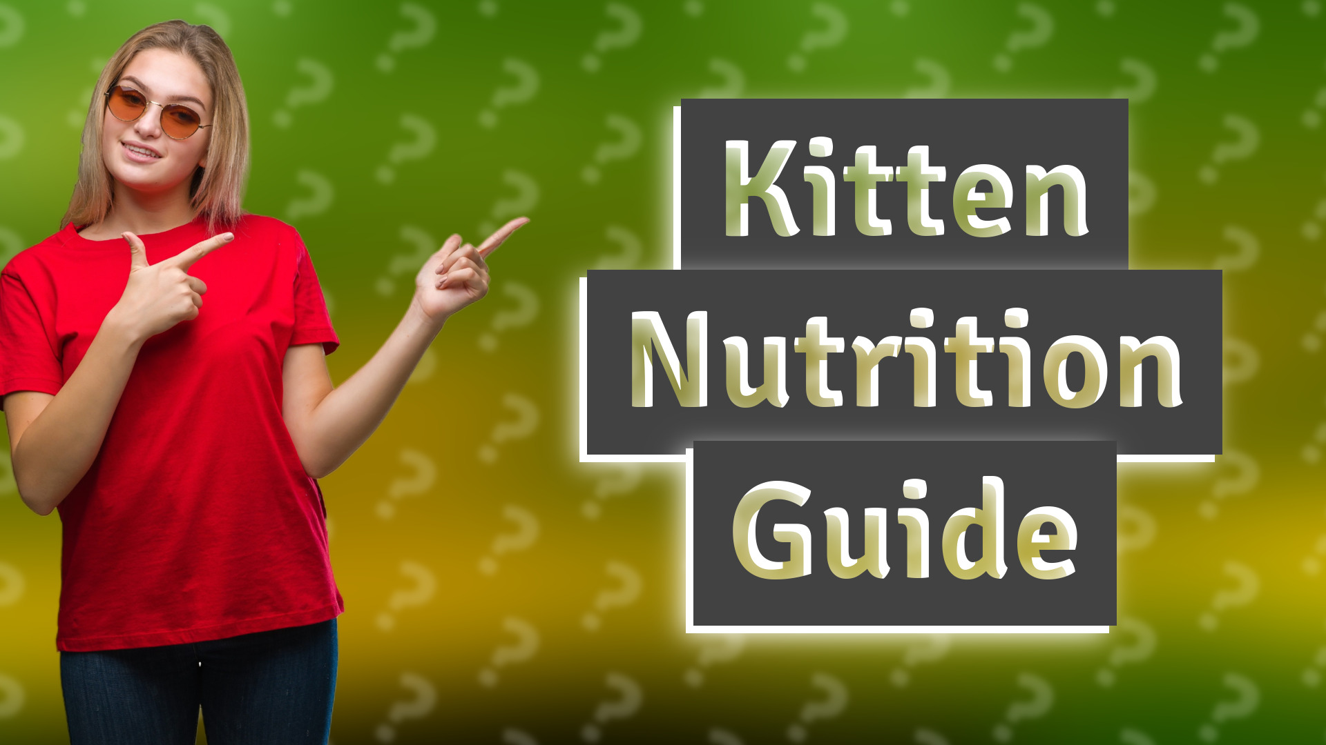 Kitten Nutrition Guide