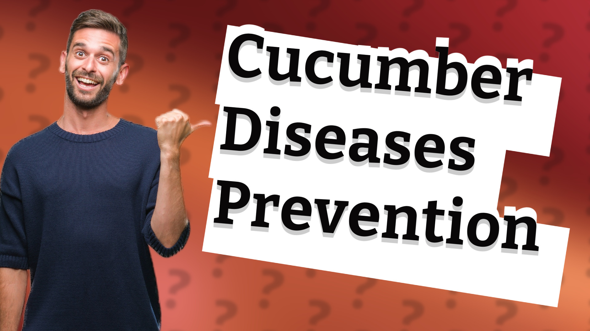 Cucumber Diseases Prevention