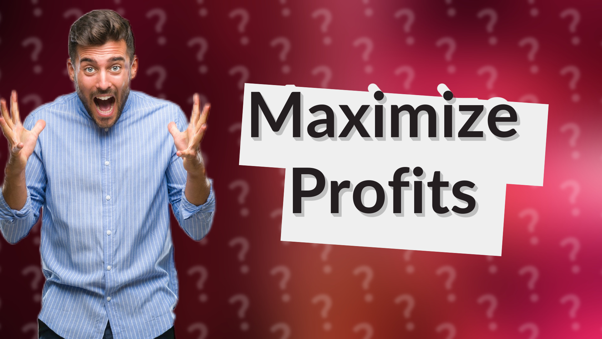 Maximize Profits