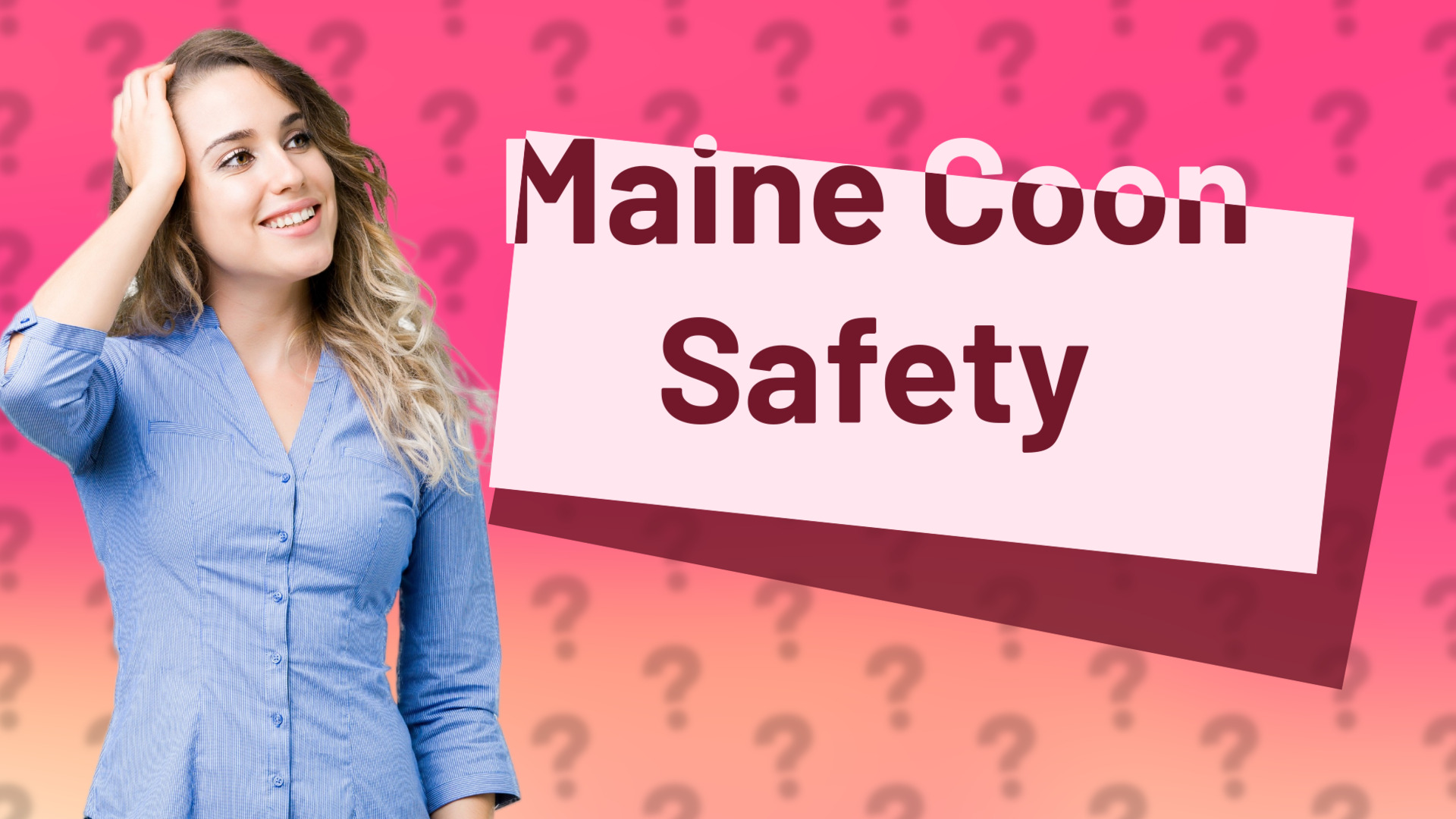 Maine Coon Safety