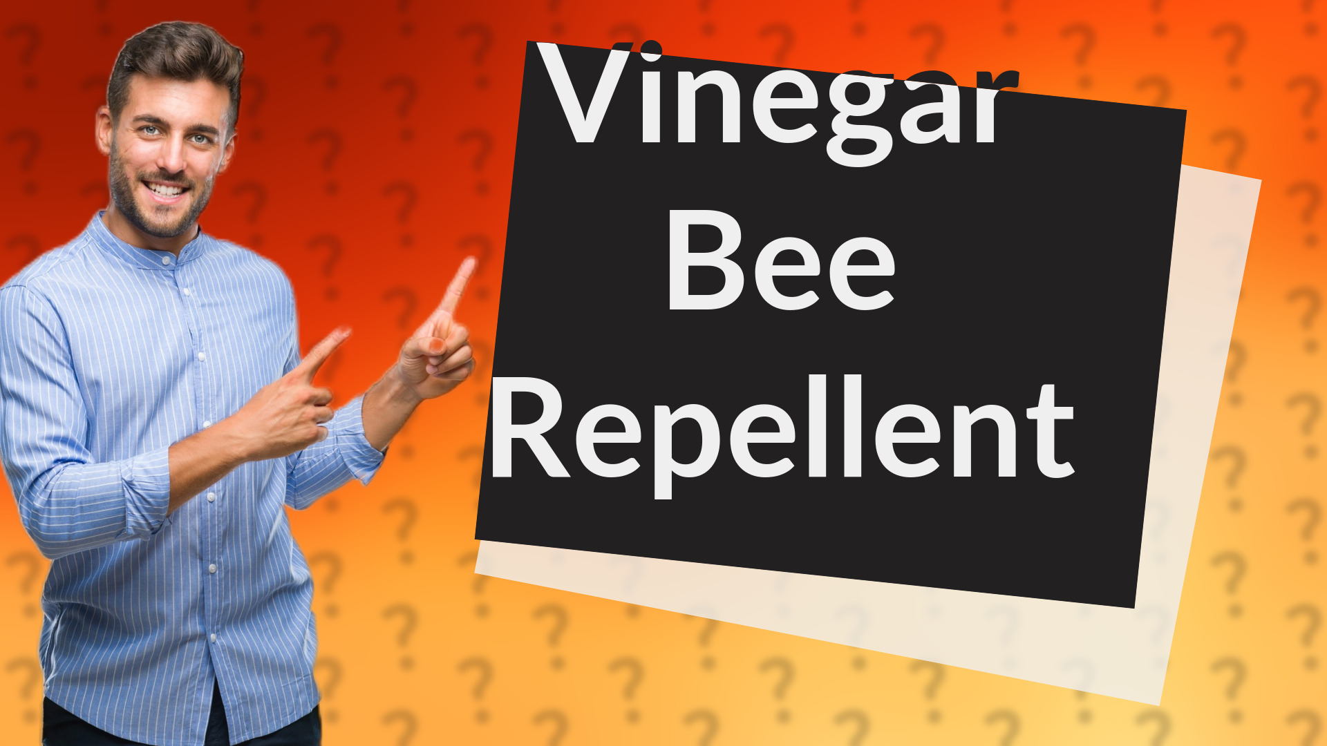 Vinegar Bee Repellent