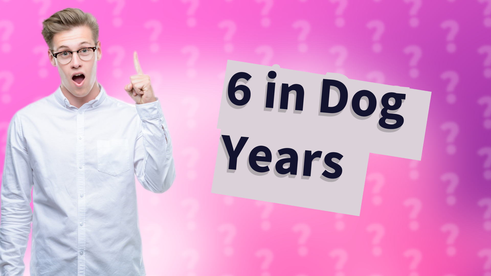 6 in Dog Years