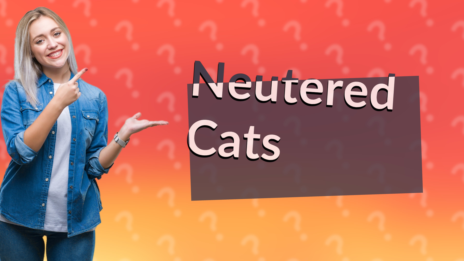 Neutered Cats
