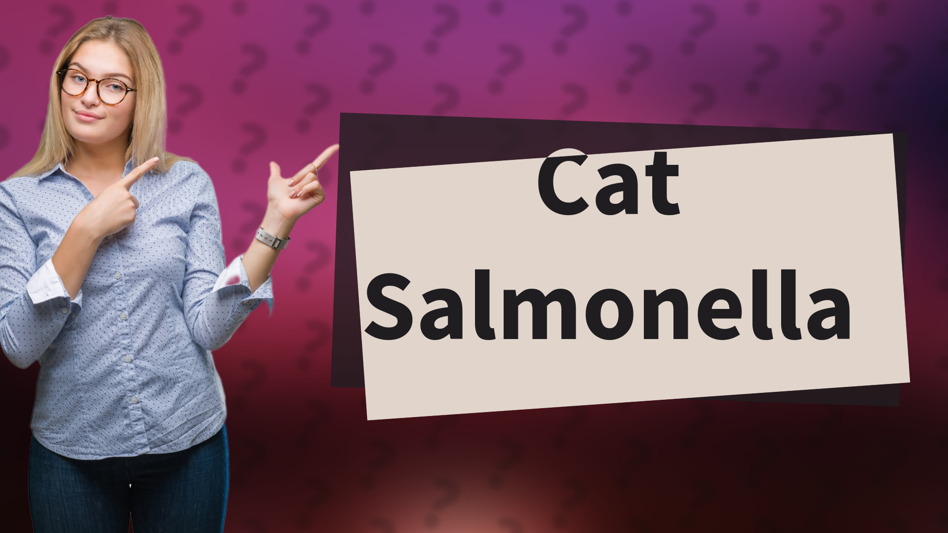 Cat Salmonella